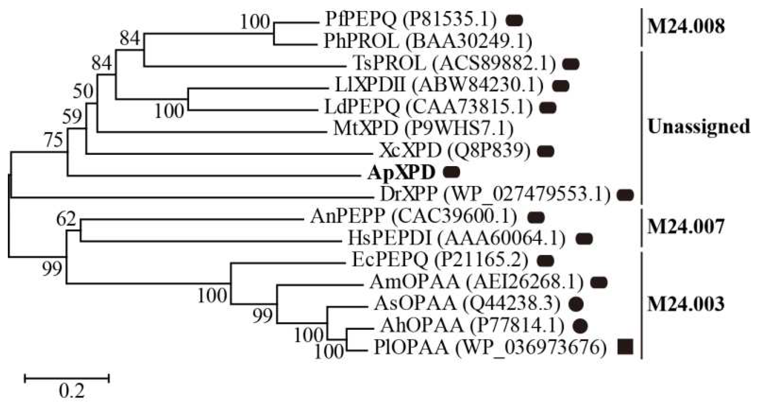 Preprints 88275 g001