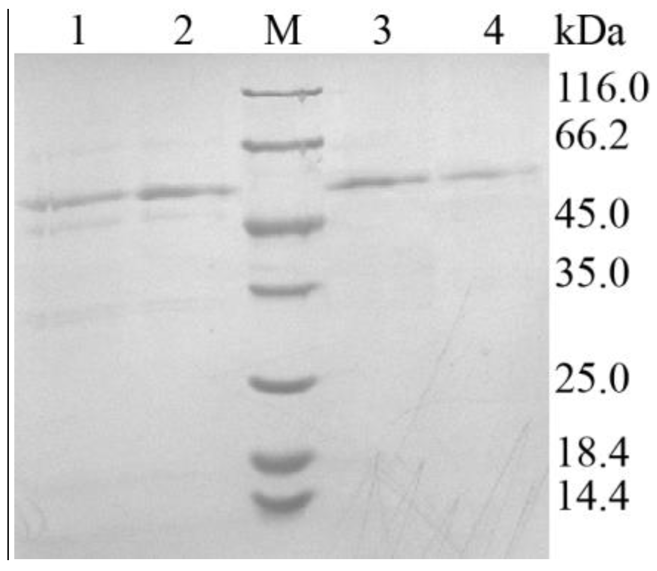 Preprints 88275 g004