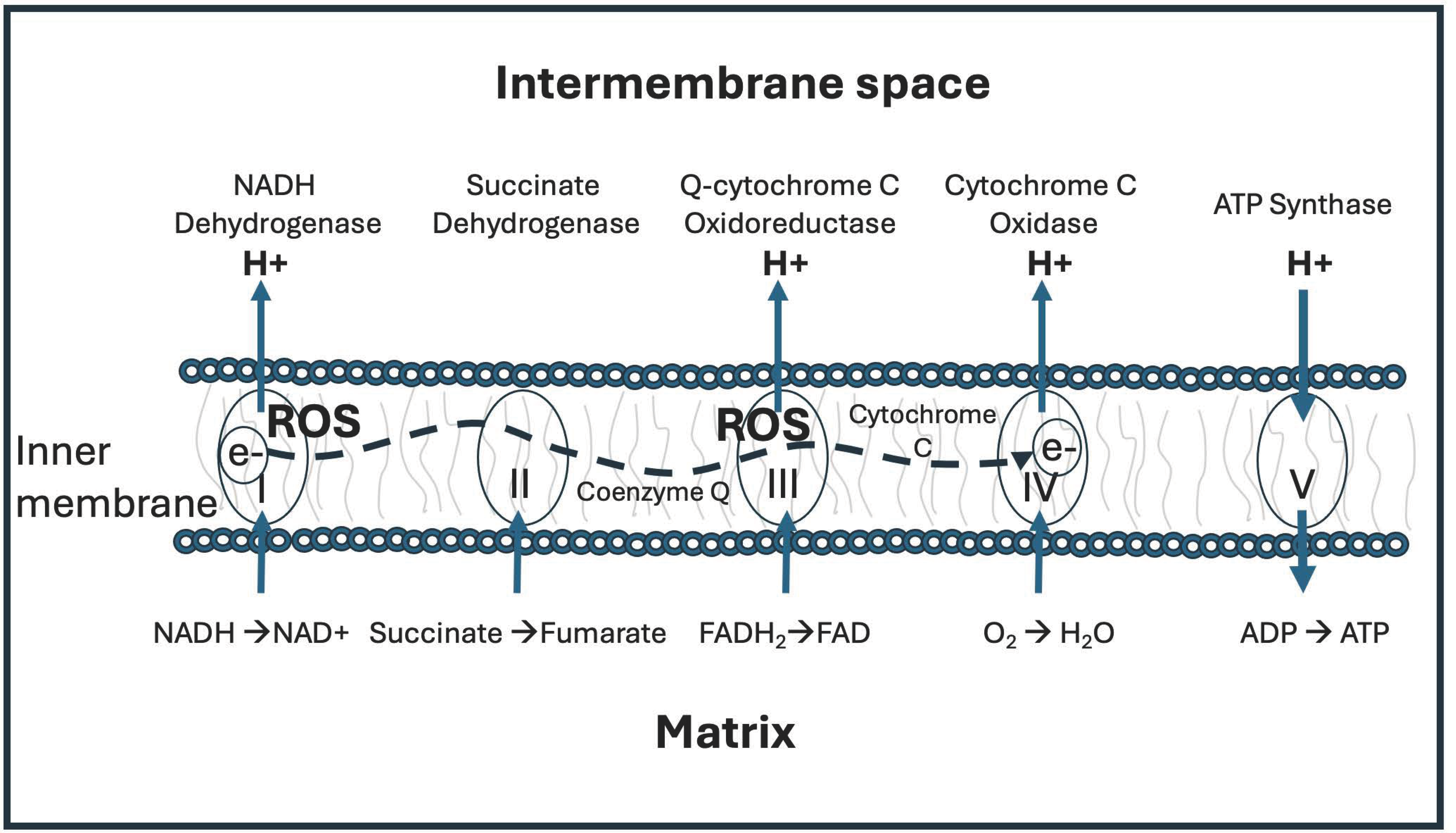 Preprints 119394 g001