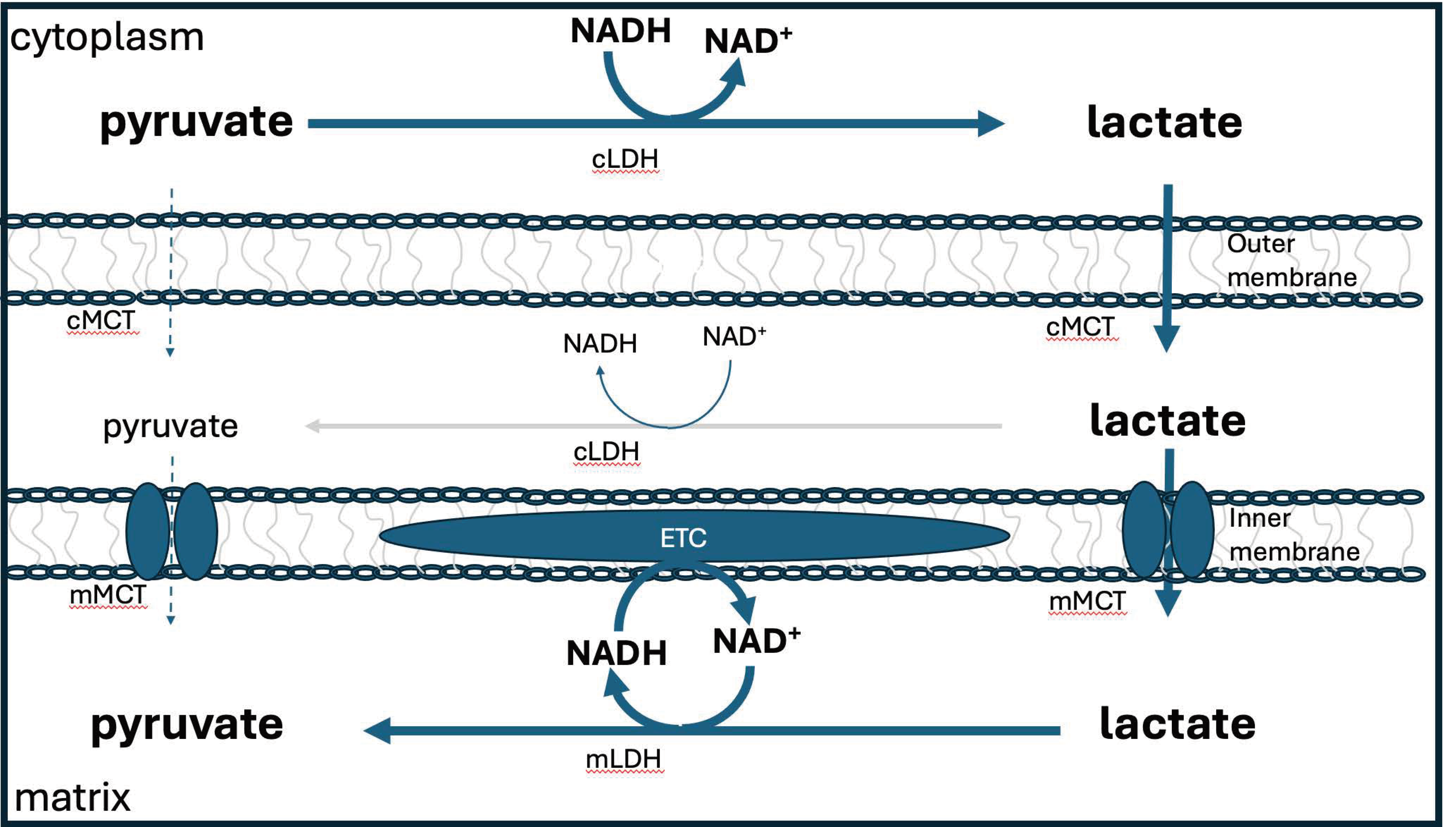 Preprints 119394 g006