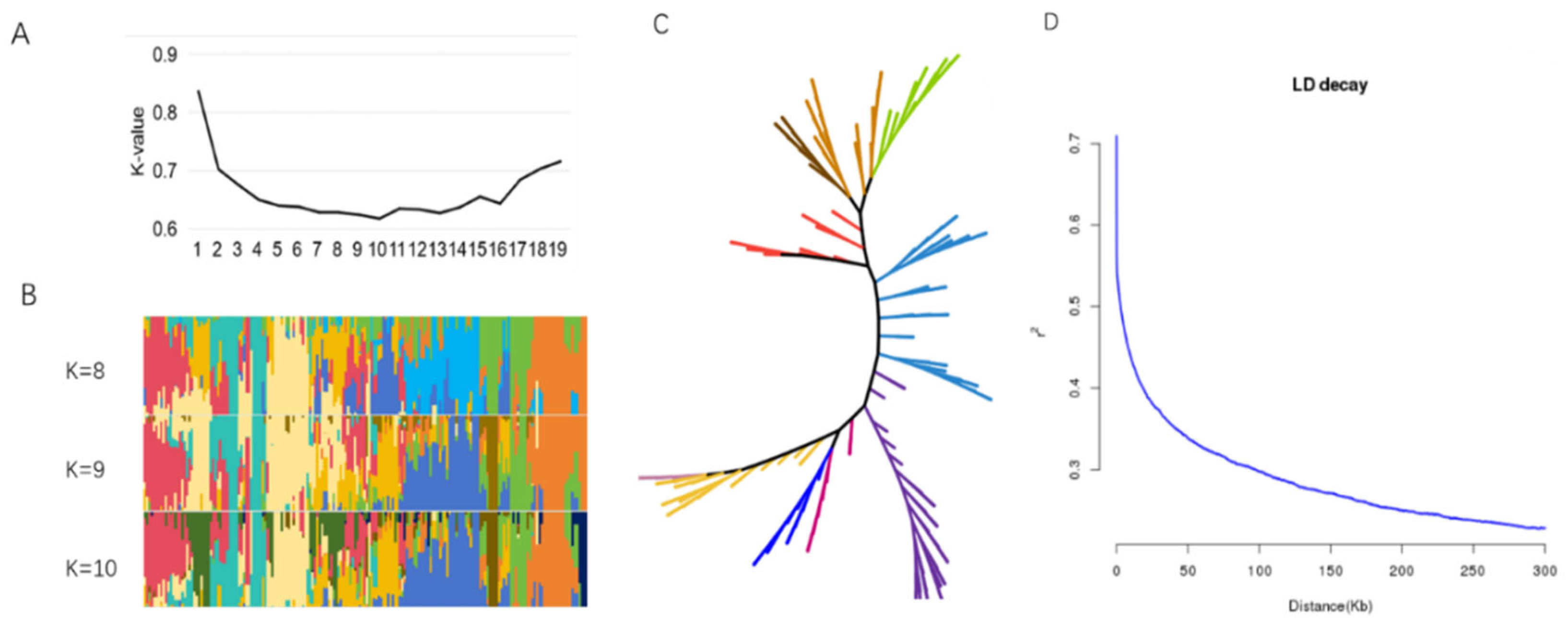 Preprints 98139 g002