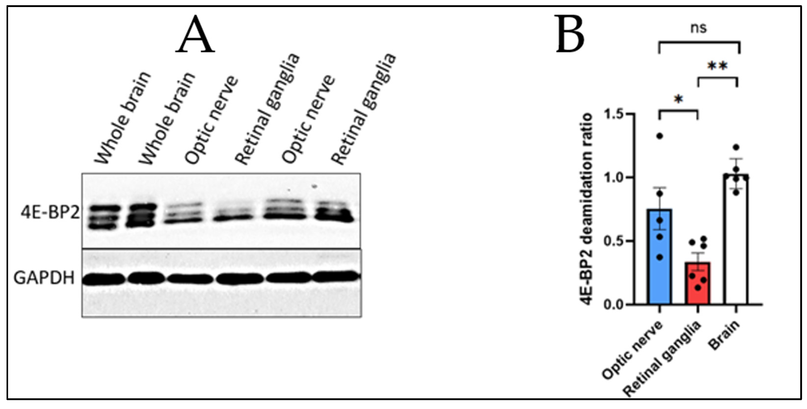 Preprints 138160 g001