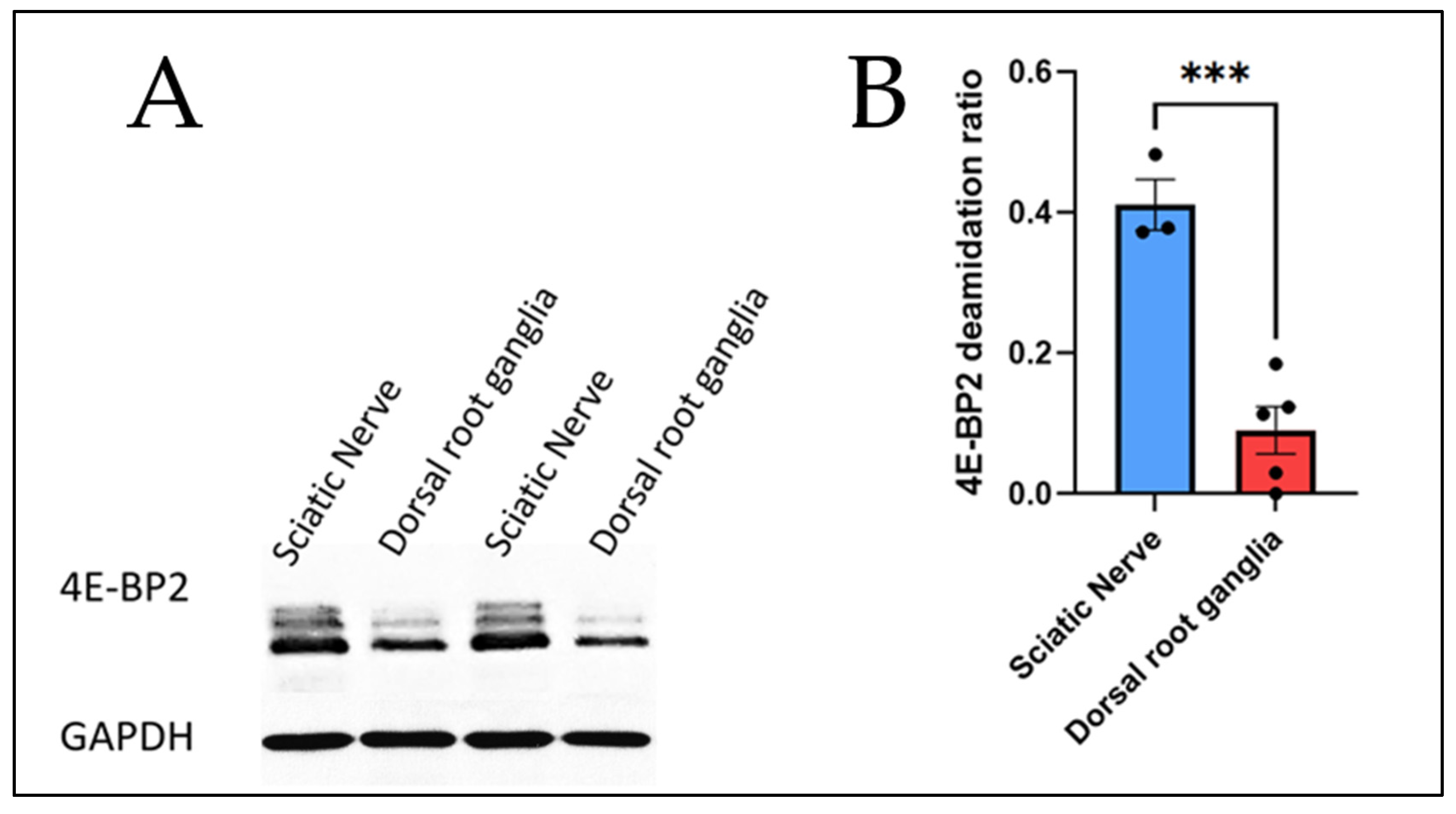 Preprints 138160 g002