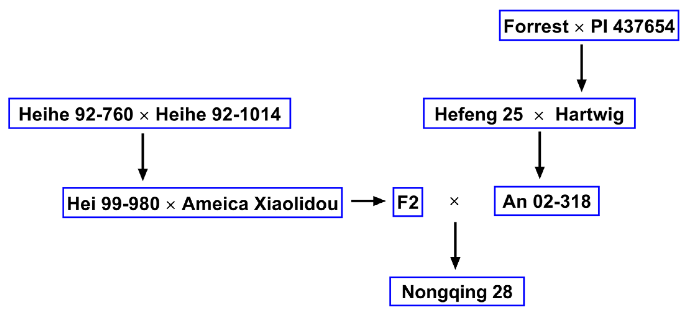 Preprints 112853 g001