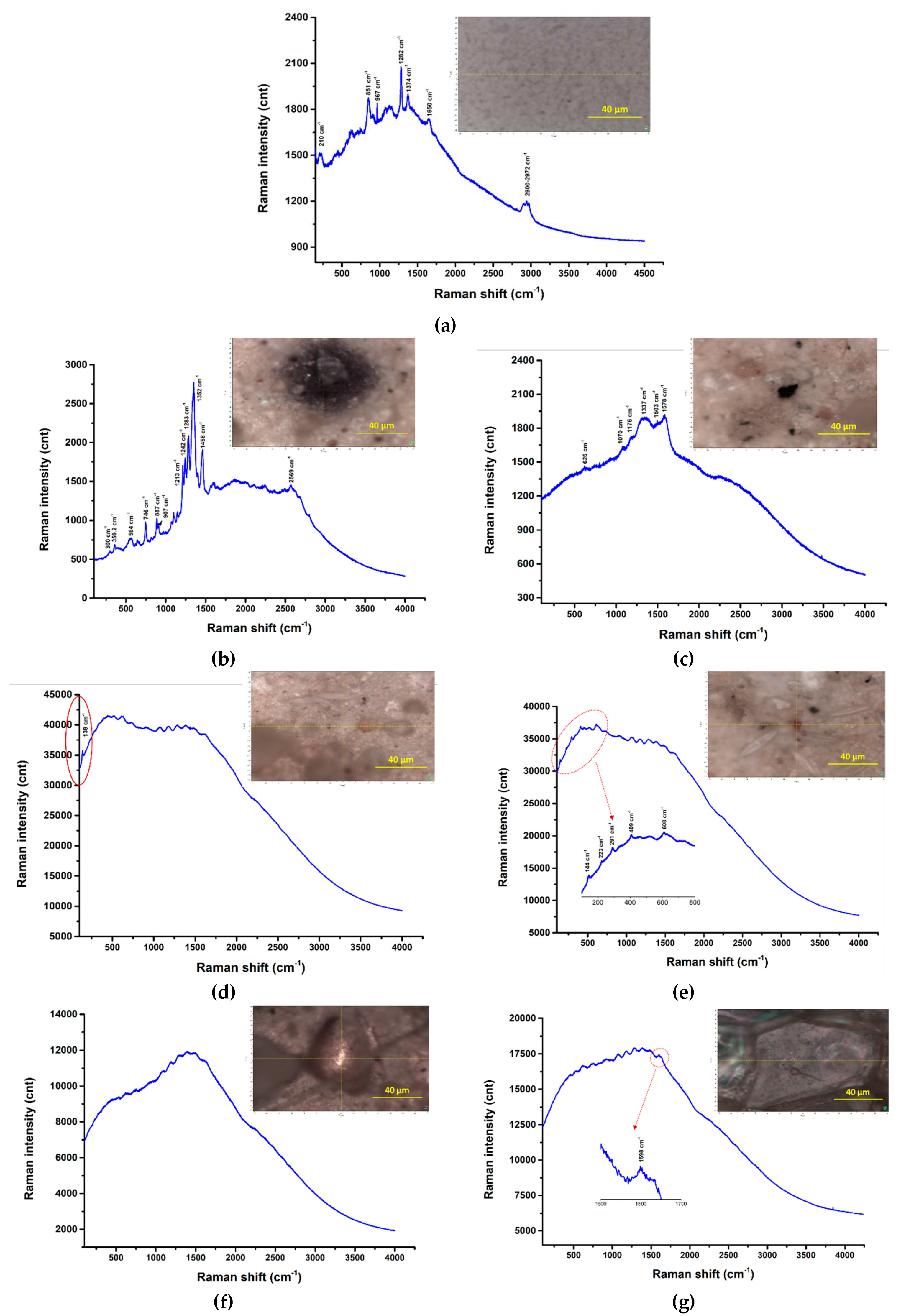 Preprints 91179 g024a