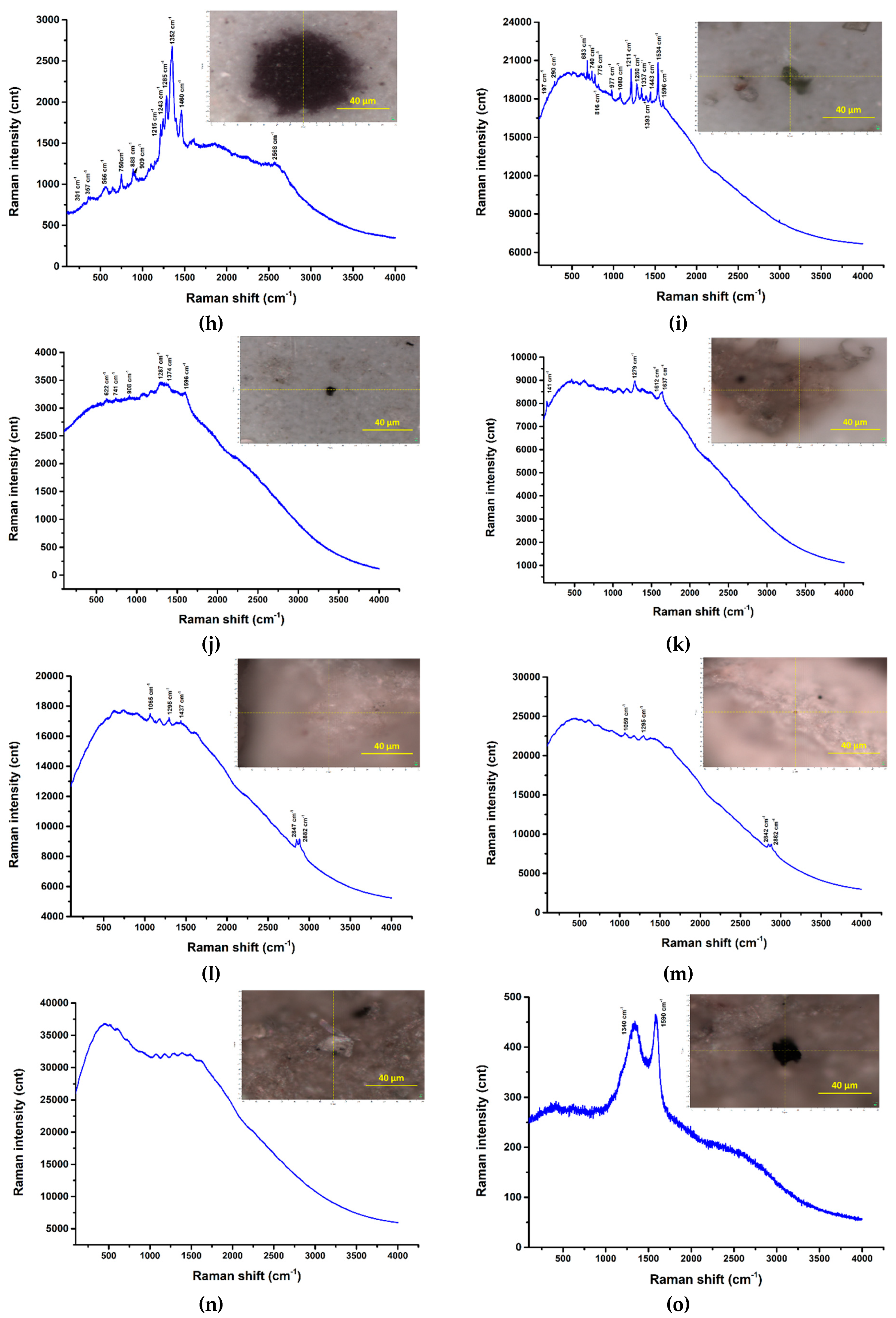 Preprints 91179 g024b