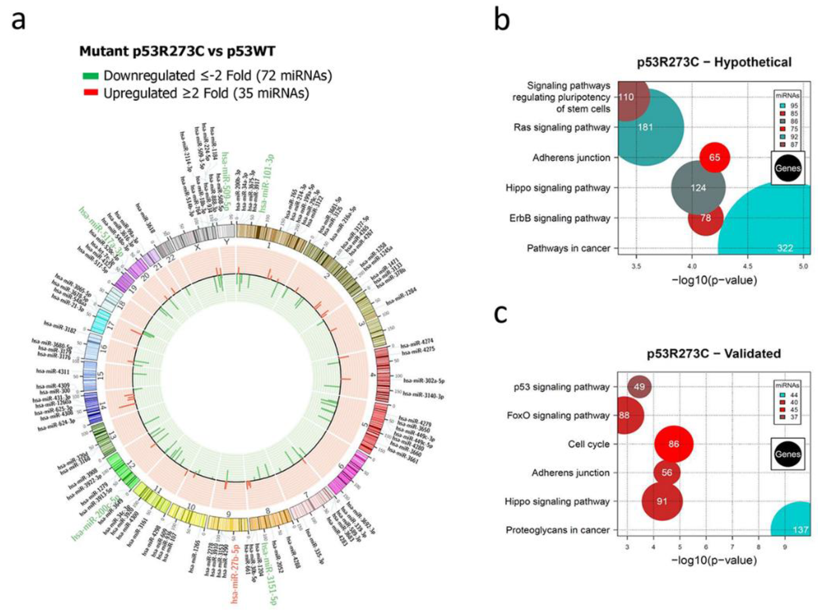 Preprints 79241 g001