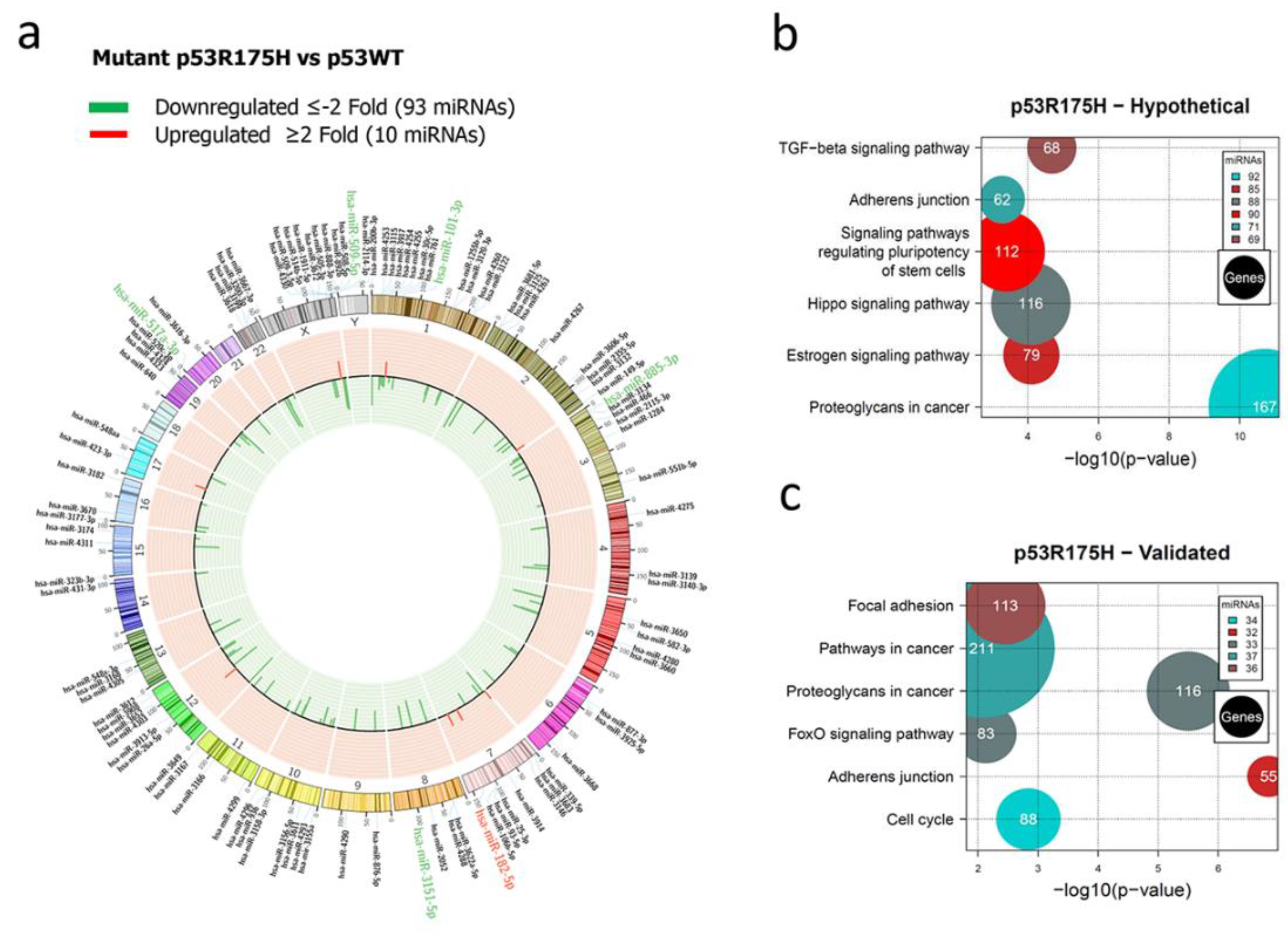 Preprints 79241 g002