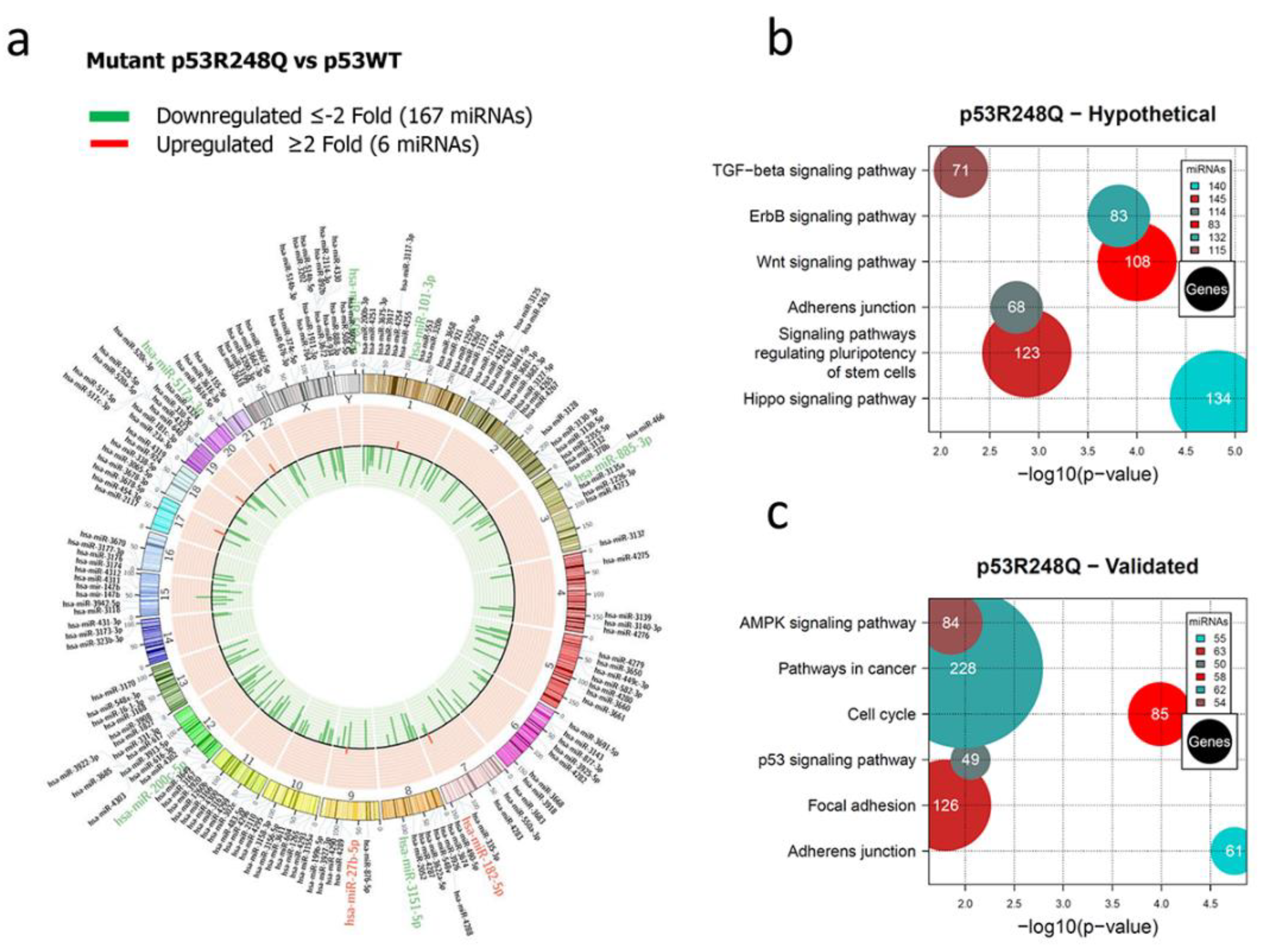 Preprints 79241 g003