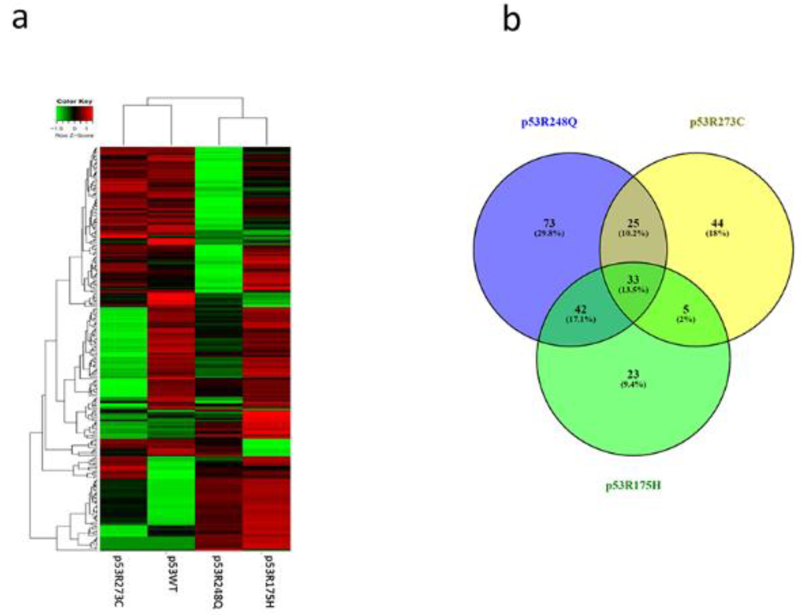 Preprints 79241 g004