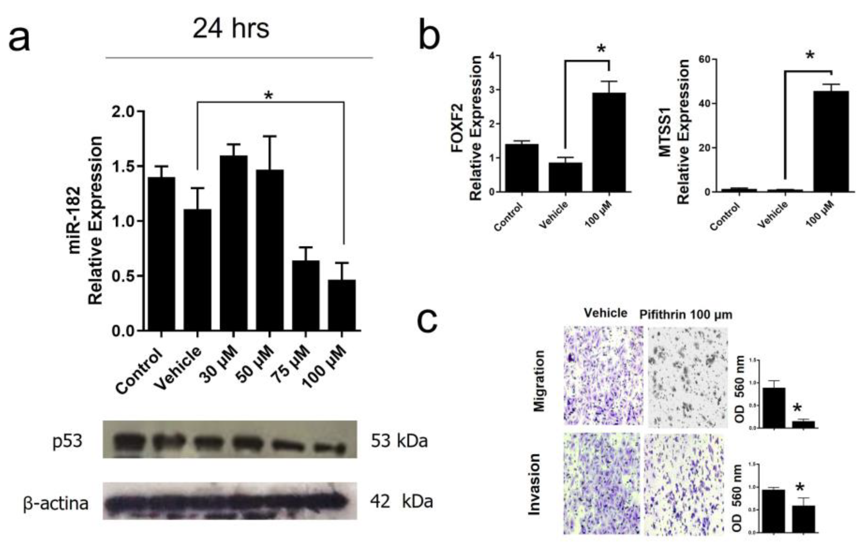 Preprints 79241 g008