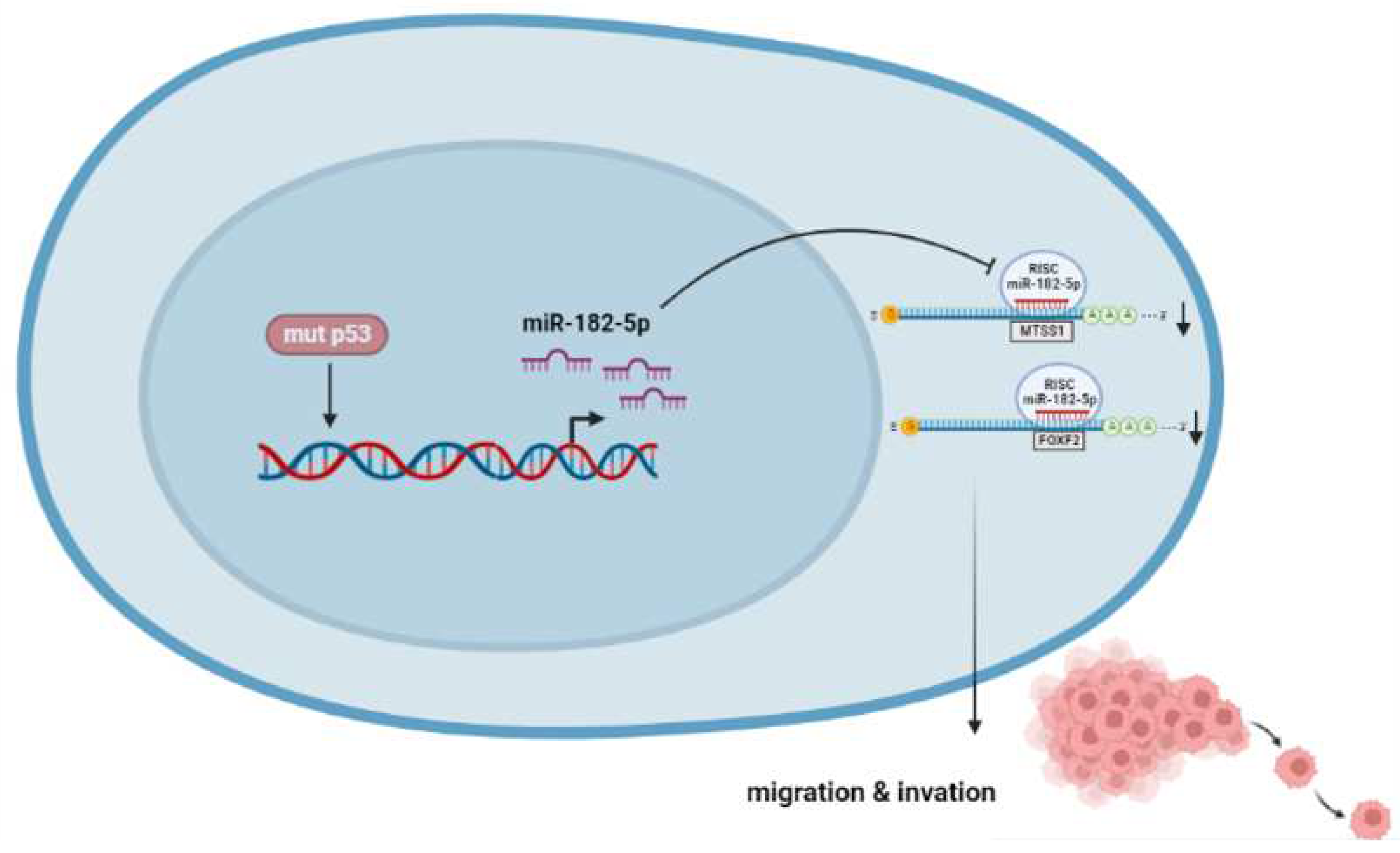 Preprints 79241 g009