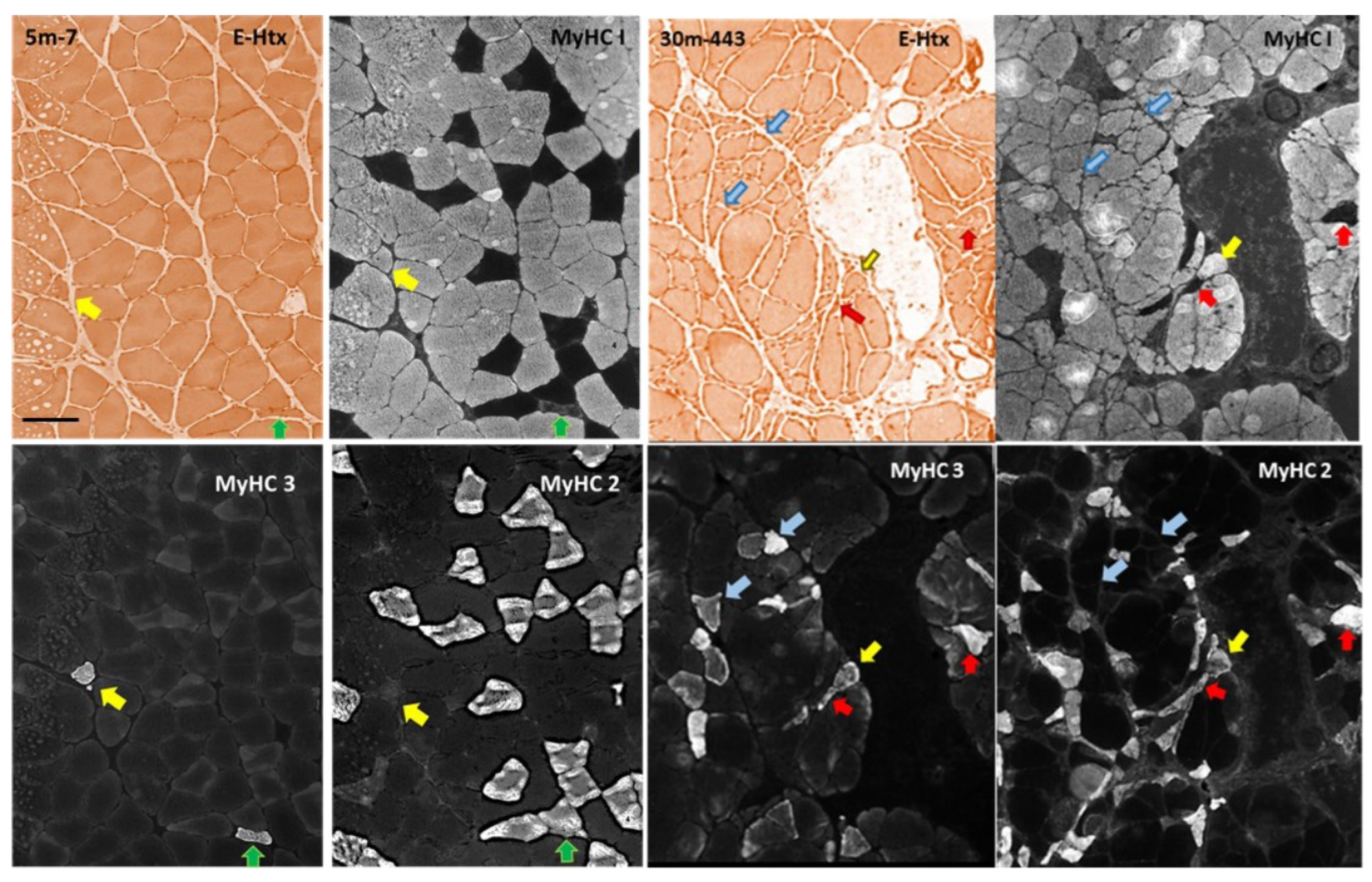 Preprints 78832 g006