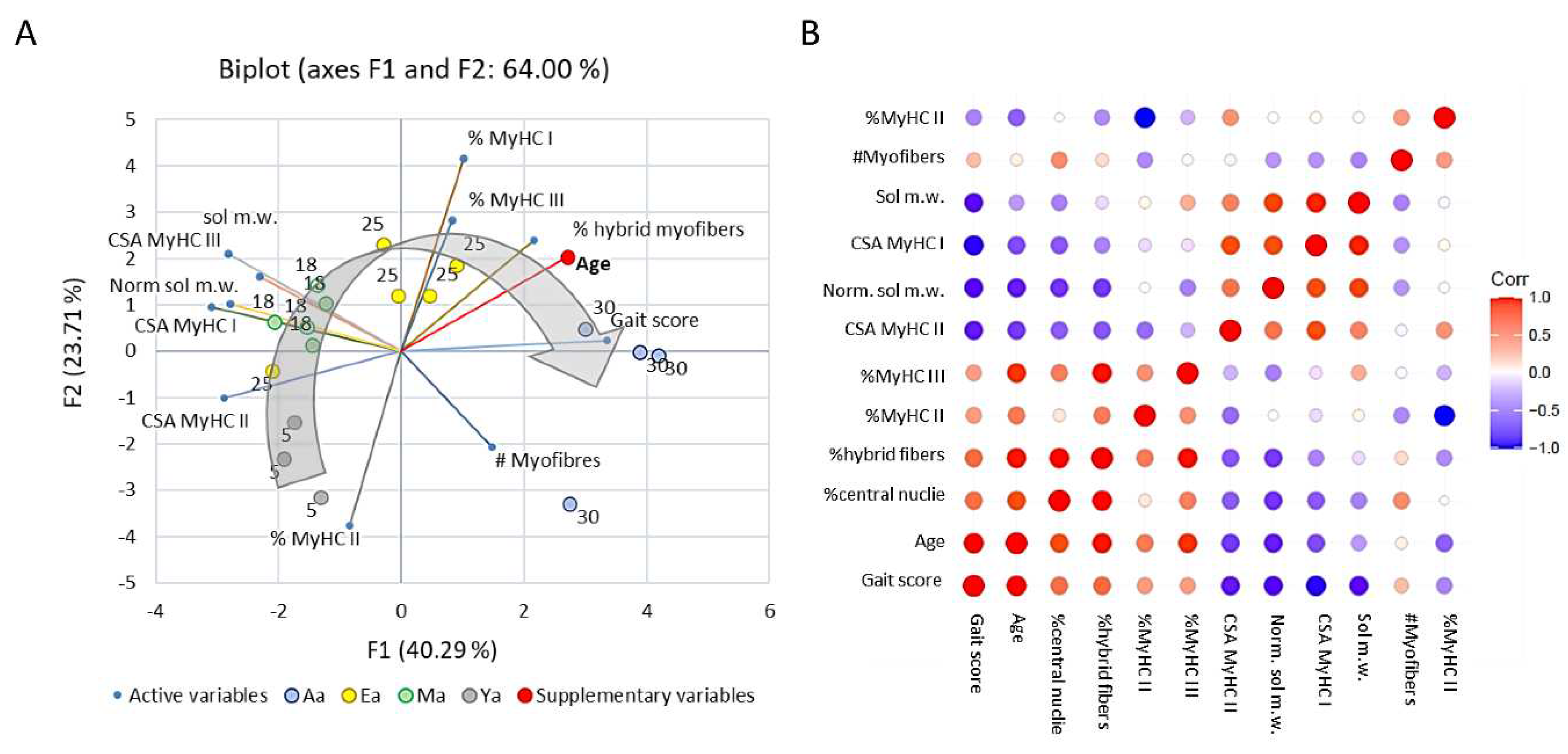 Preprints 78832 g010