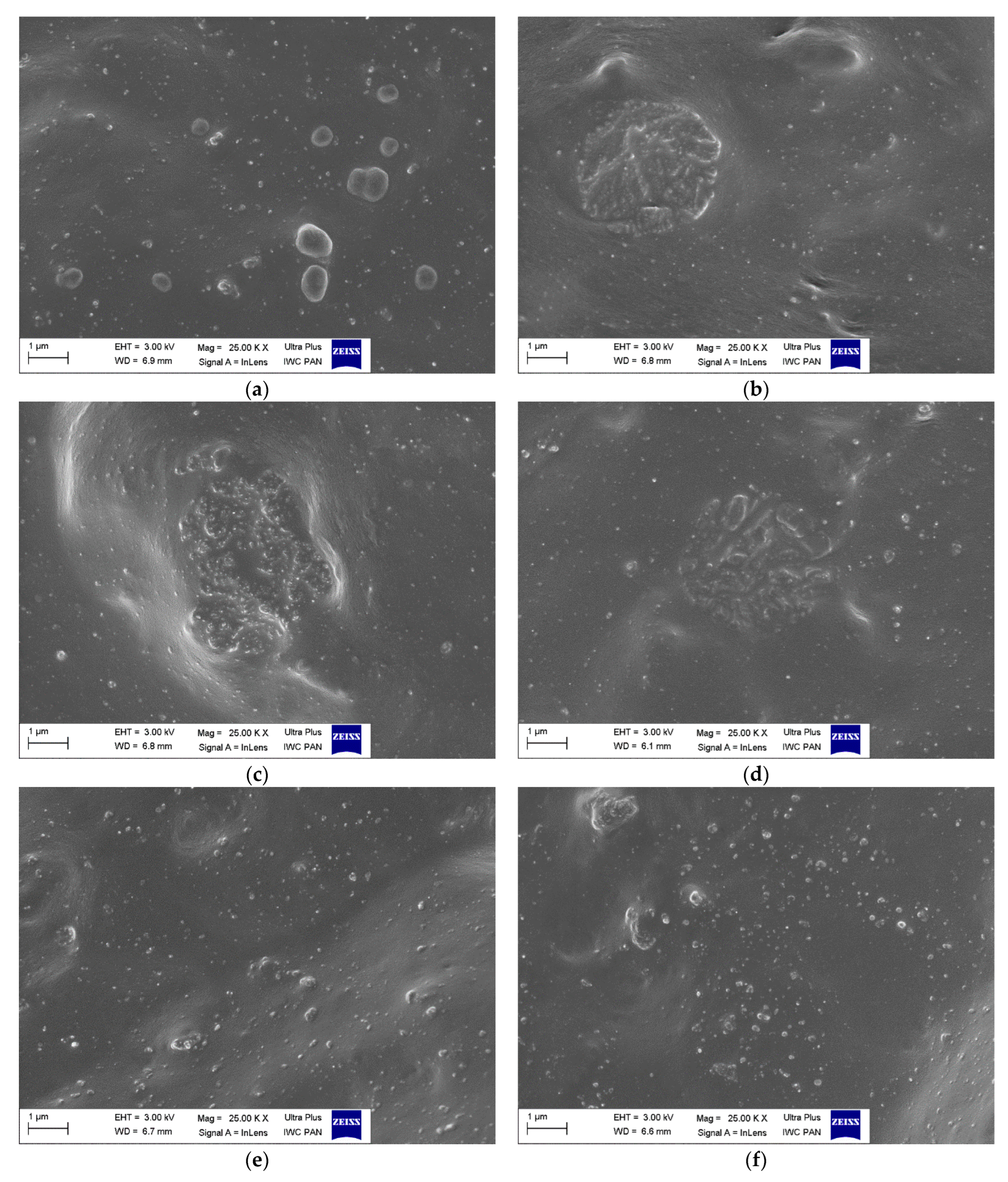 Preprints 111985 g001