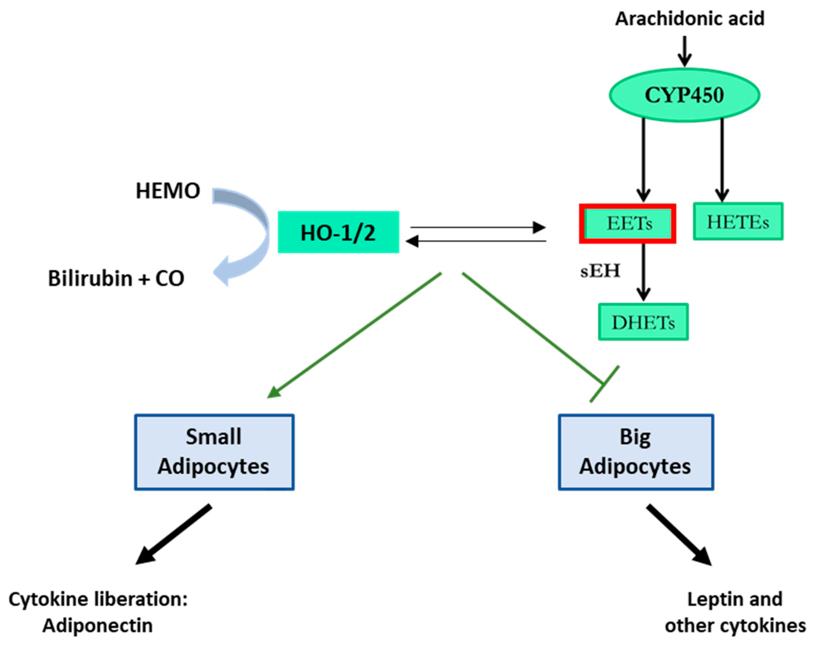 Preprints 94919 g001