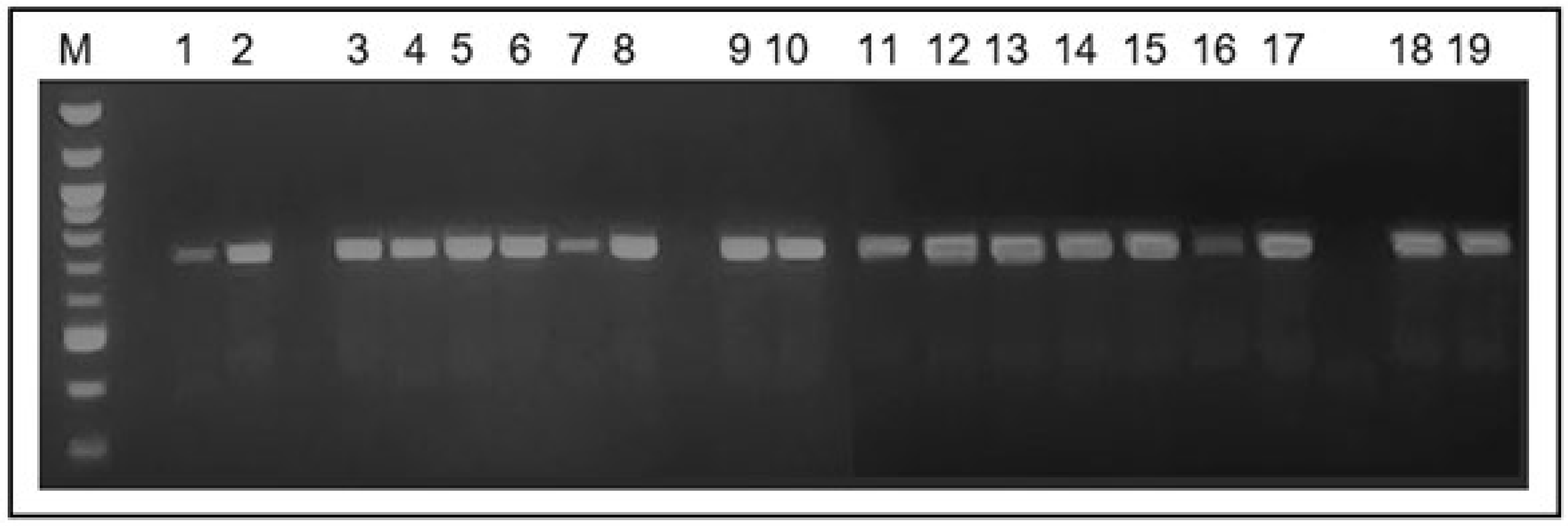 Preprints 115589 g001