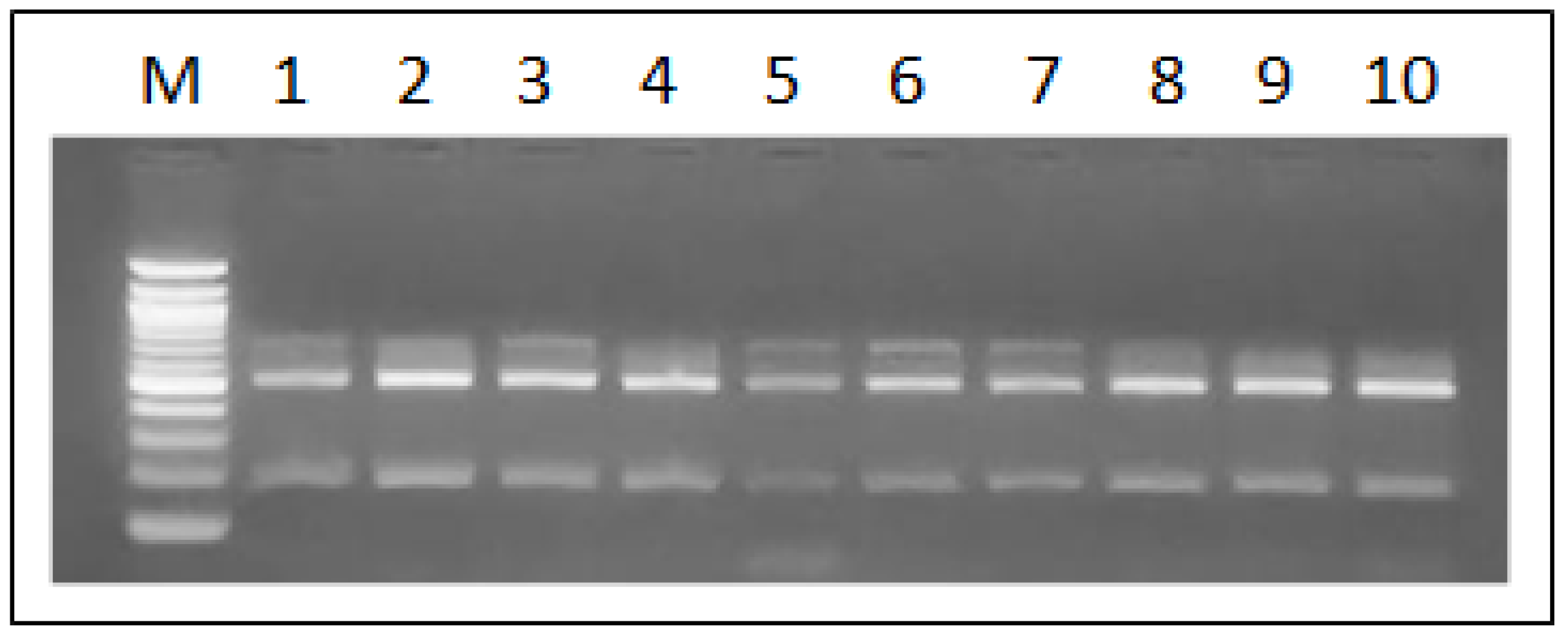 Preprints 115589 g002