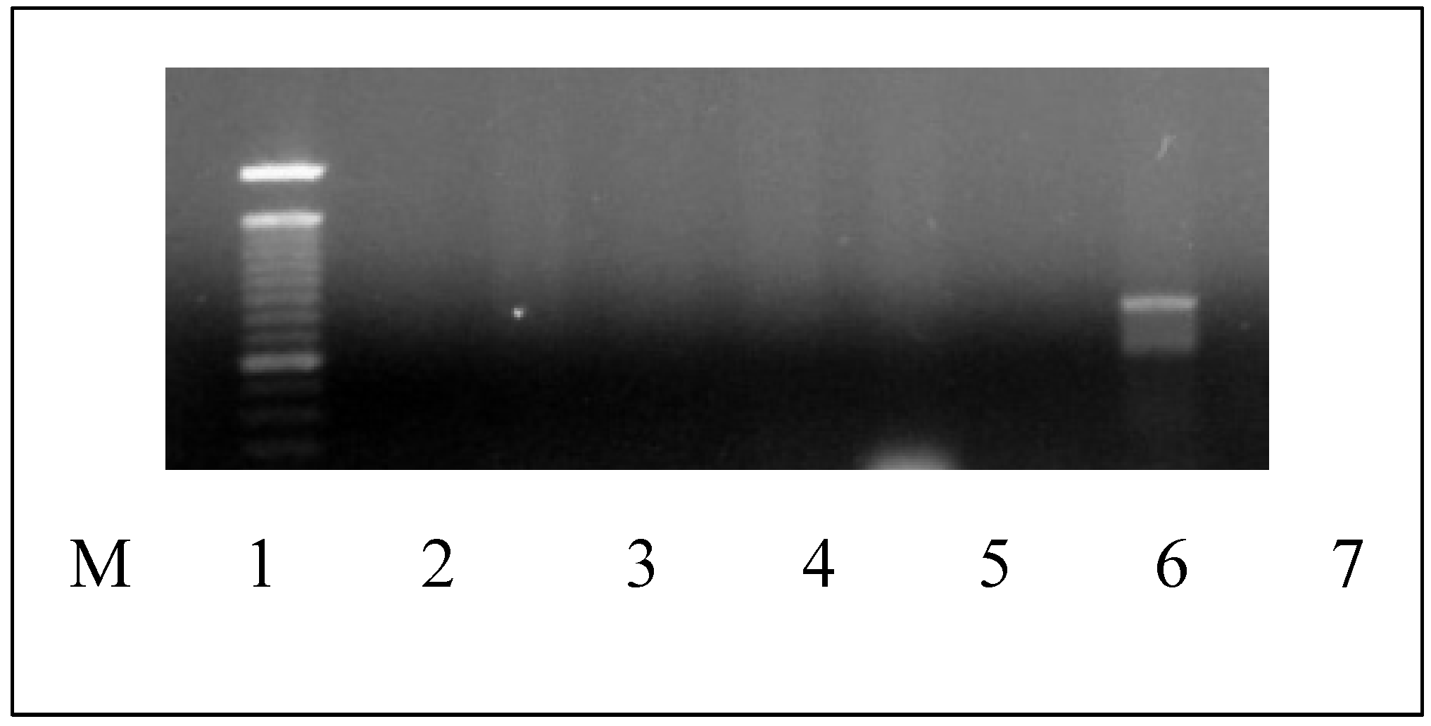 Preprints 115589 g003