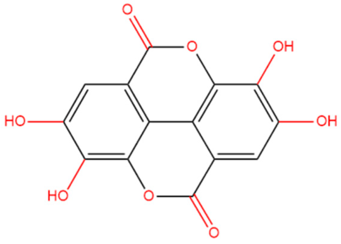 Preprints 117906 g001