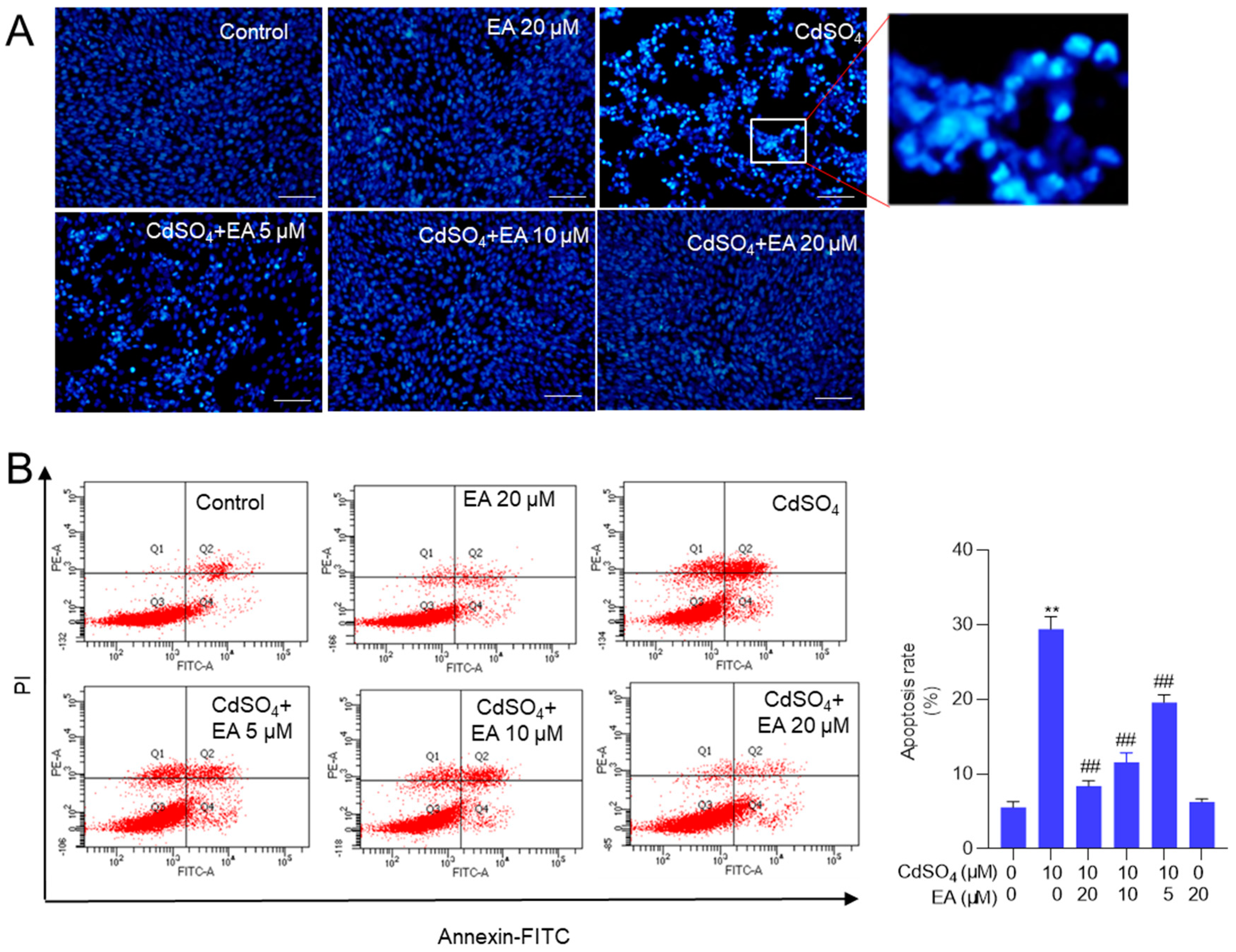 Preprints 117906 g003