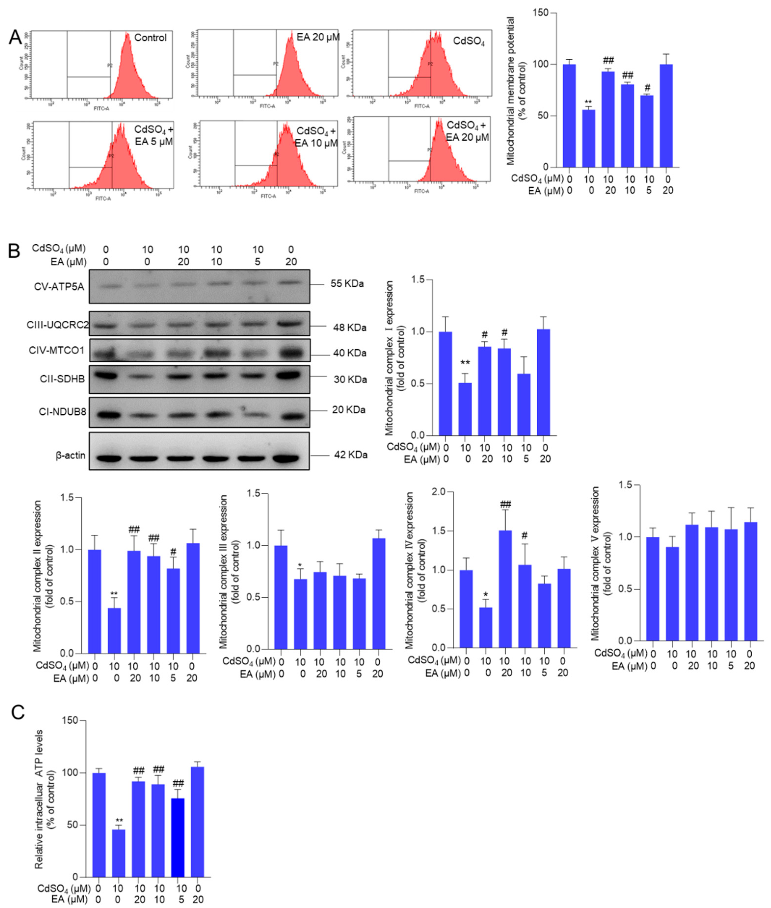 Preprints 117906 g005