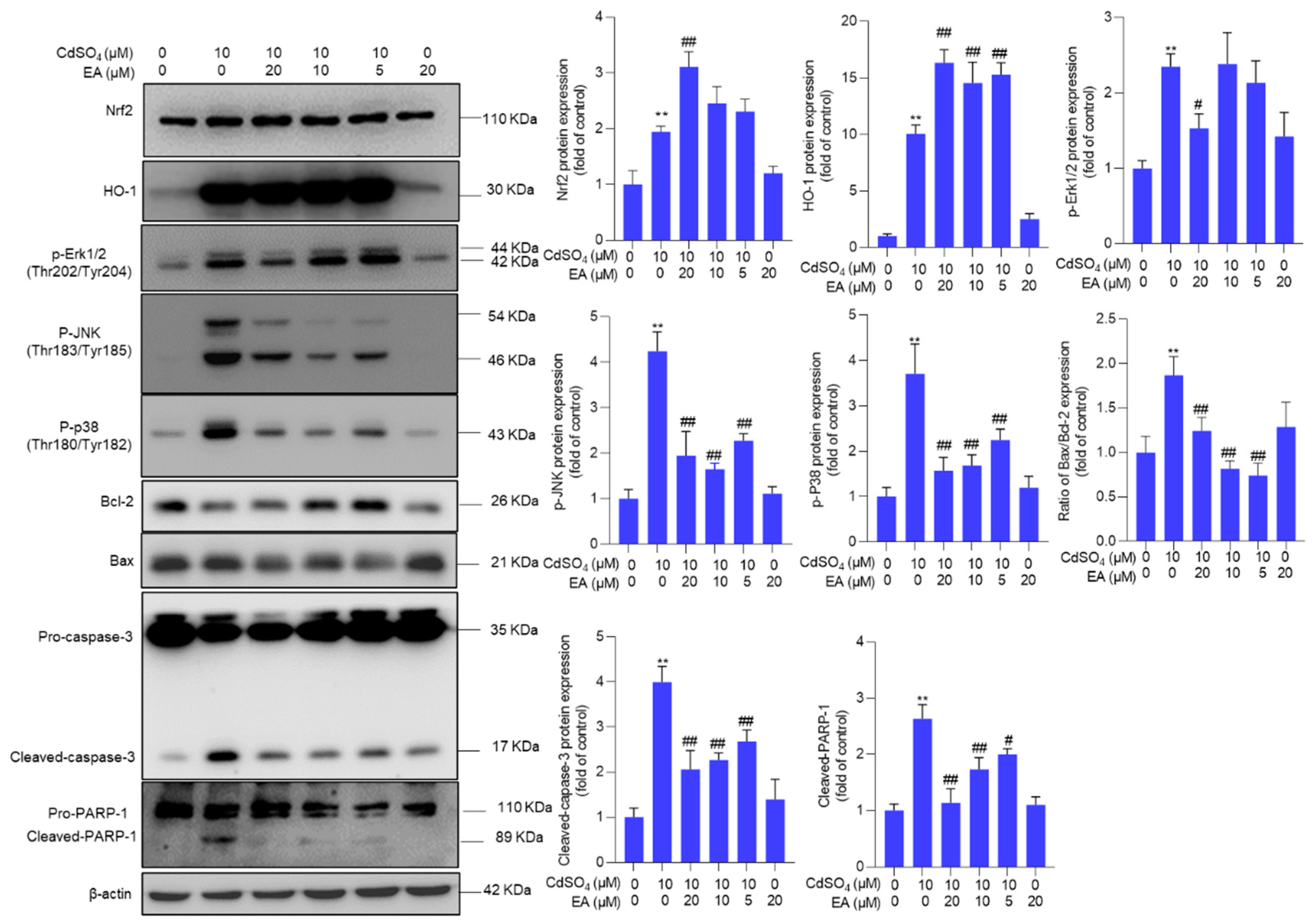 Preprints 117906 g006