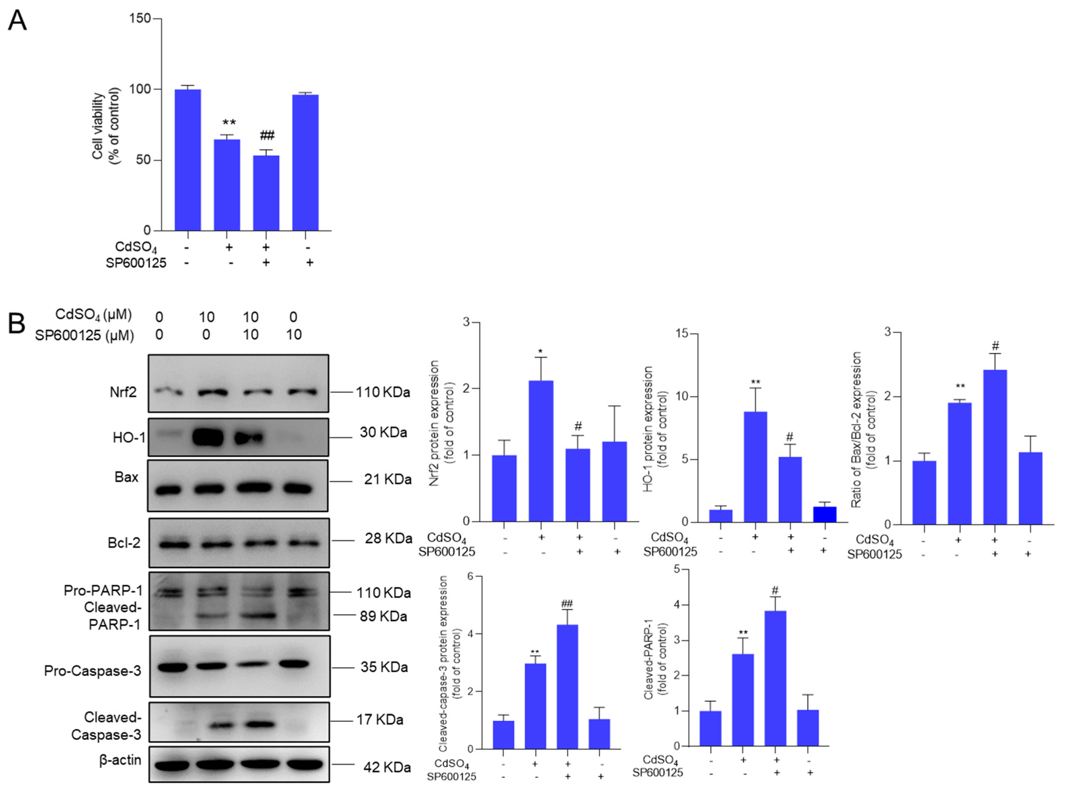 Preprints 117906 g007