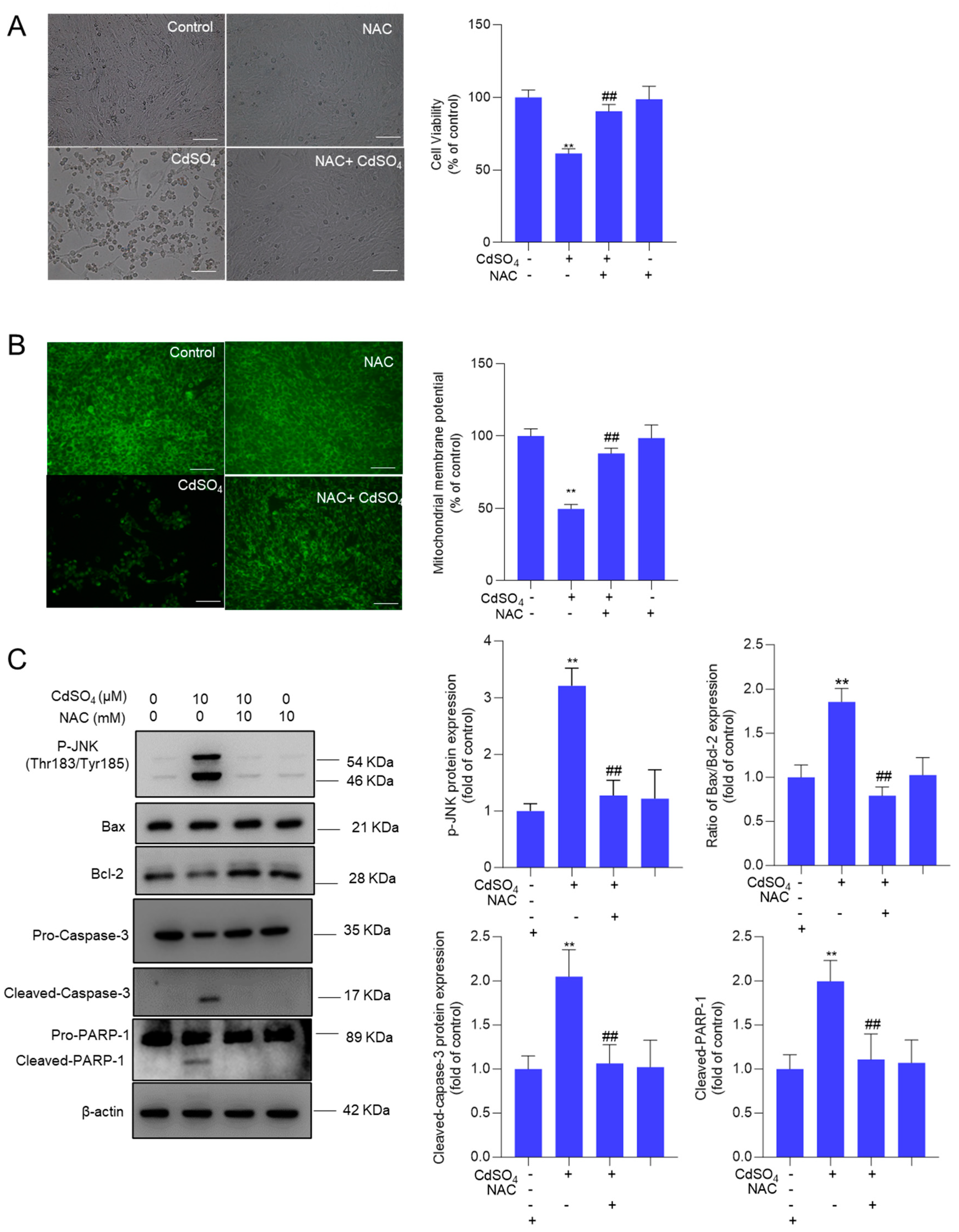 Preprints 117906 g008