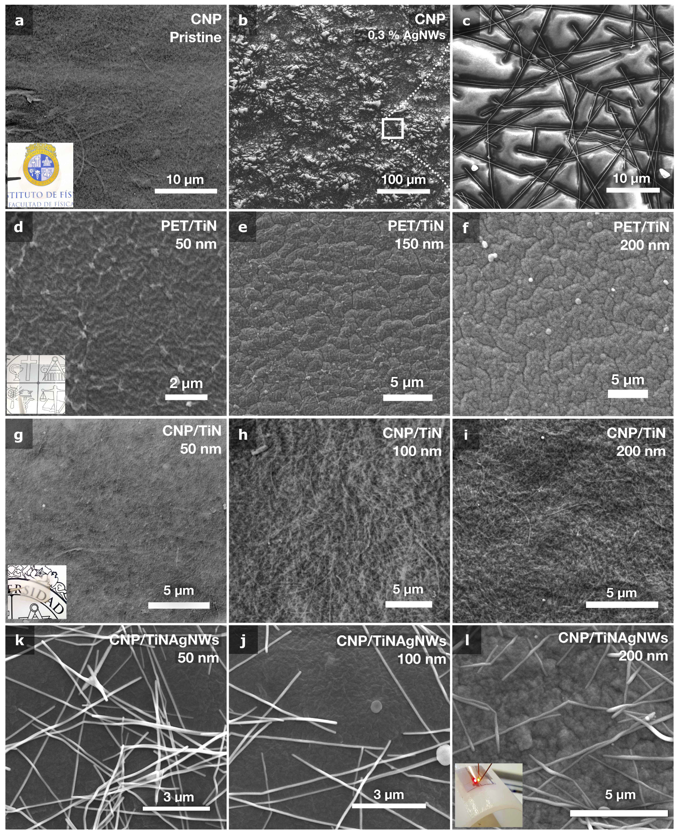 Preprints 108124 g002