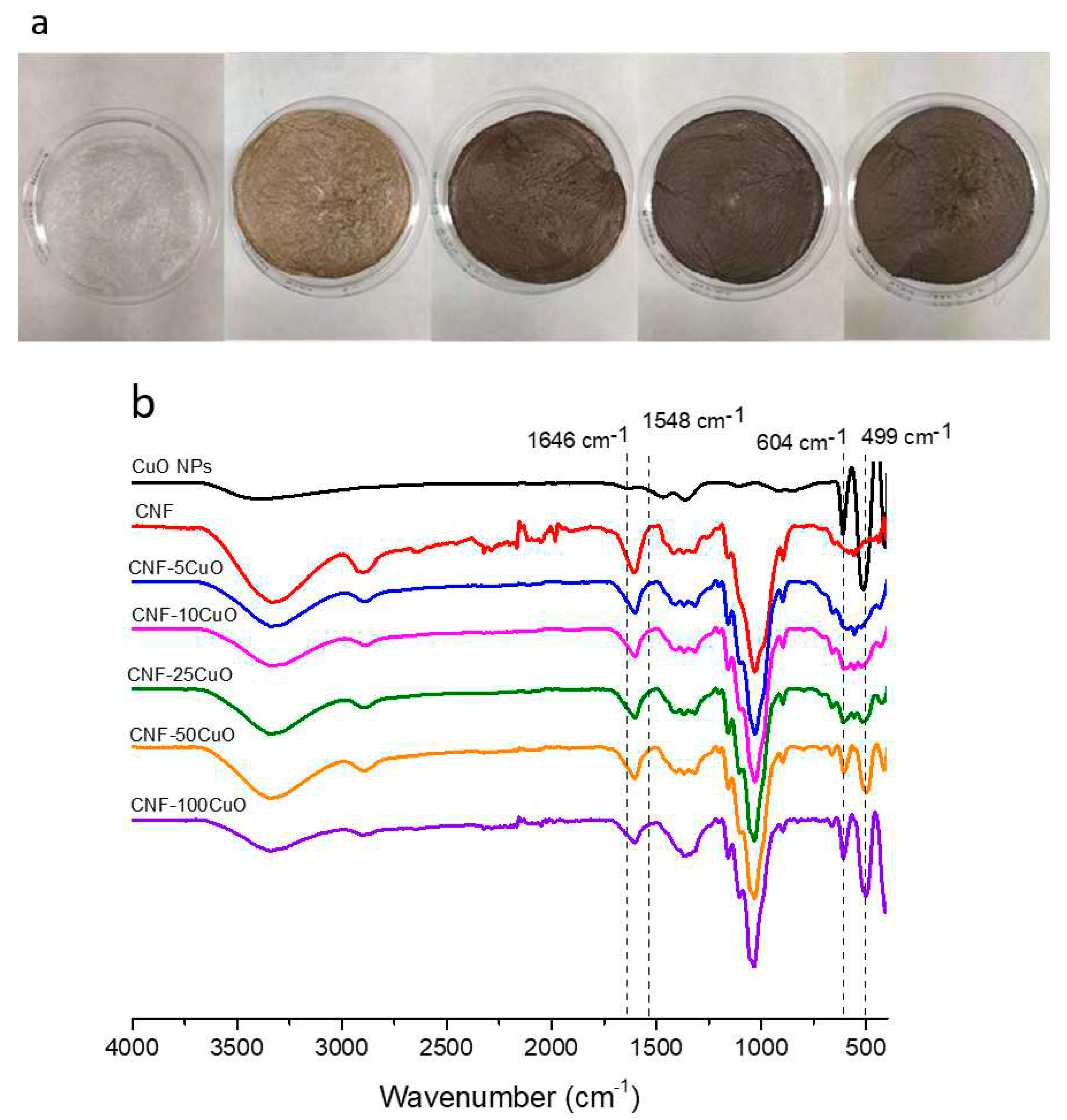 Preprints 87902 g004