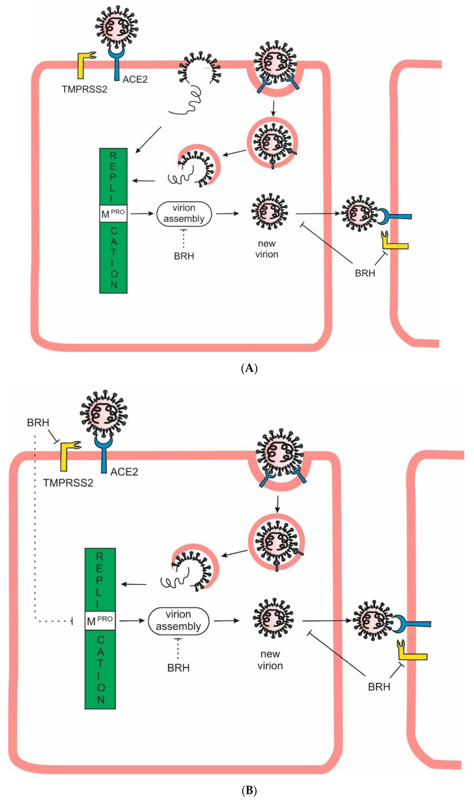 Preprints 137389 g002a