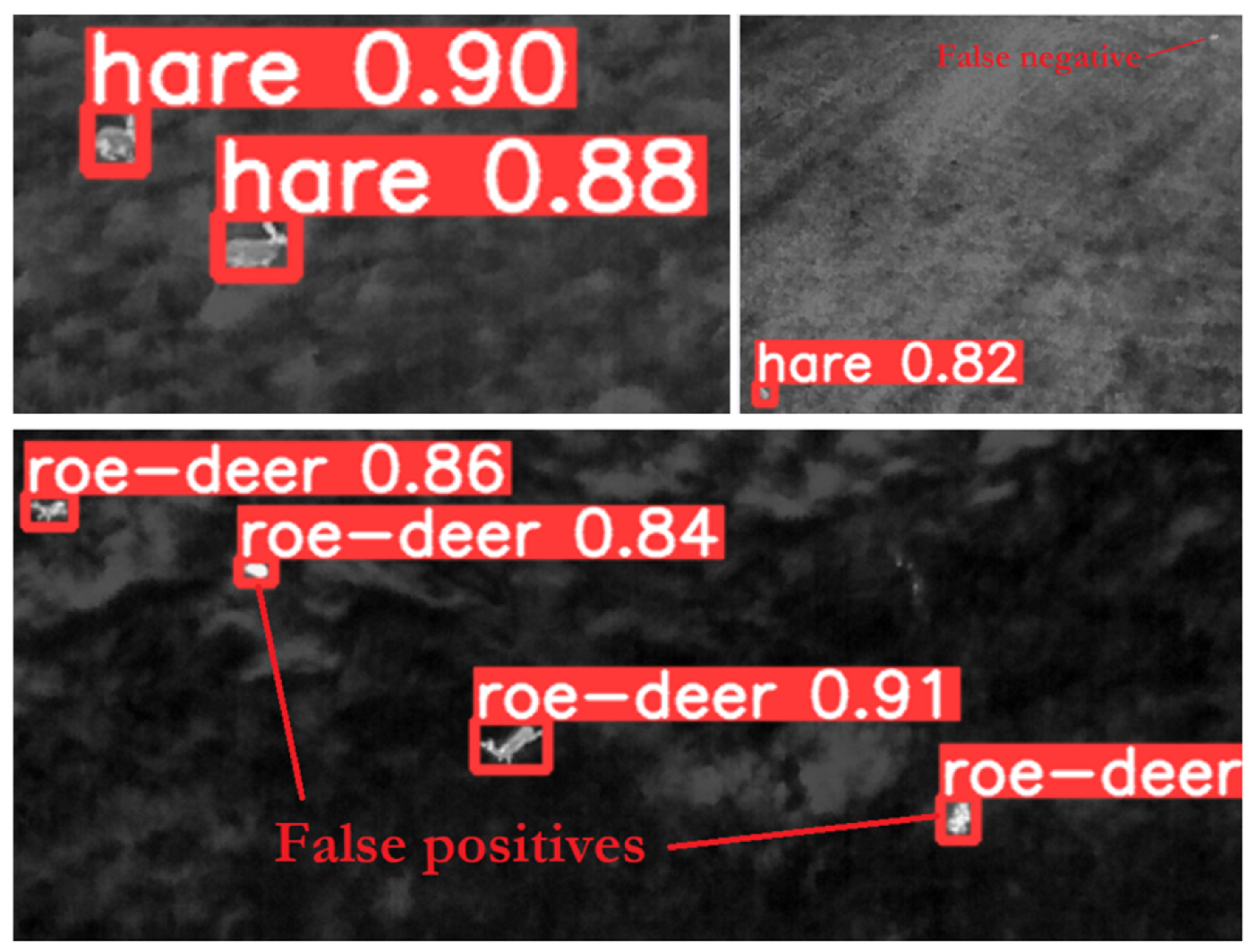 Preprints 91390 g005