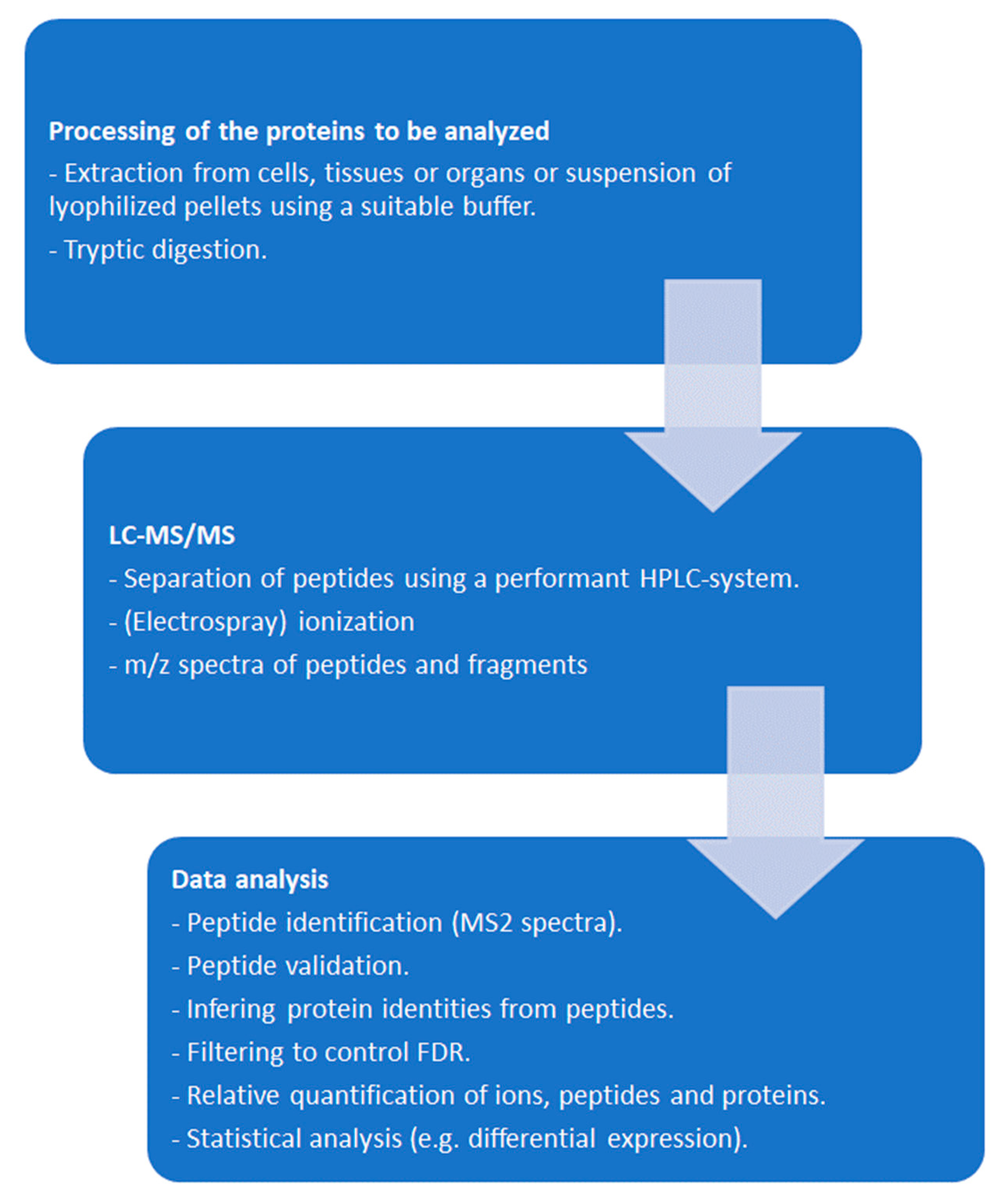 Preprints 108018 g001