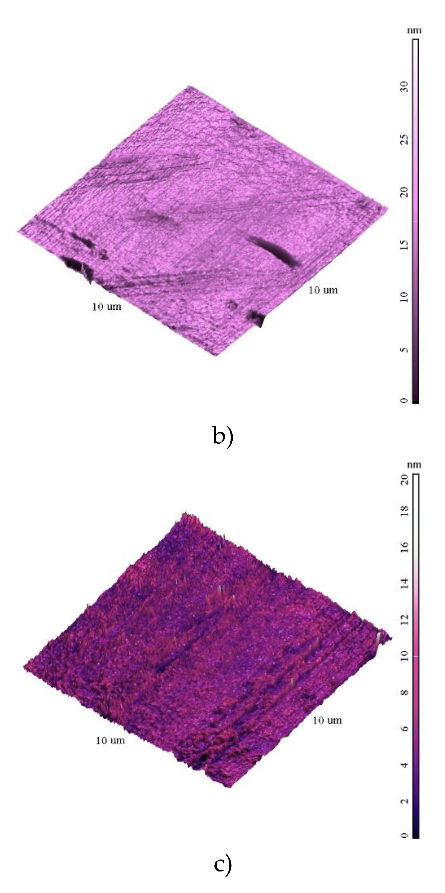 Preprints 114583 g001b