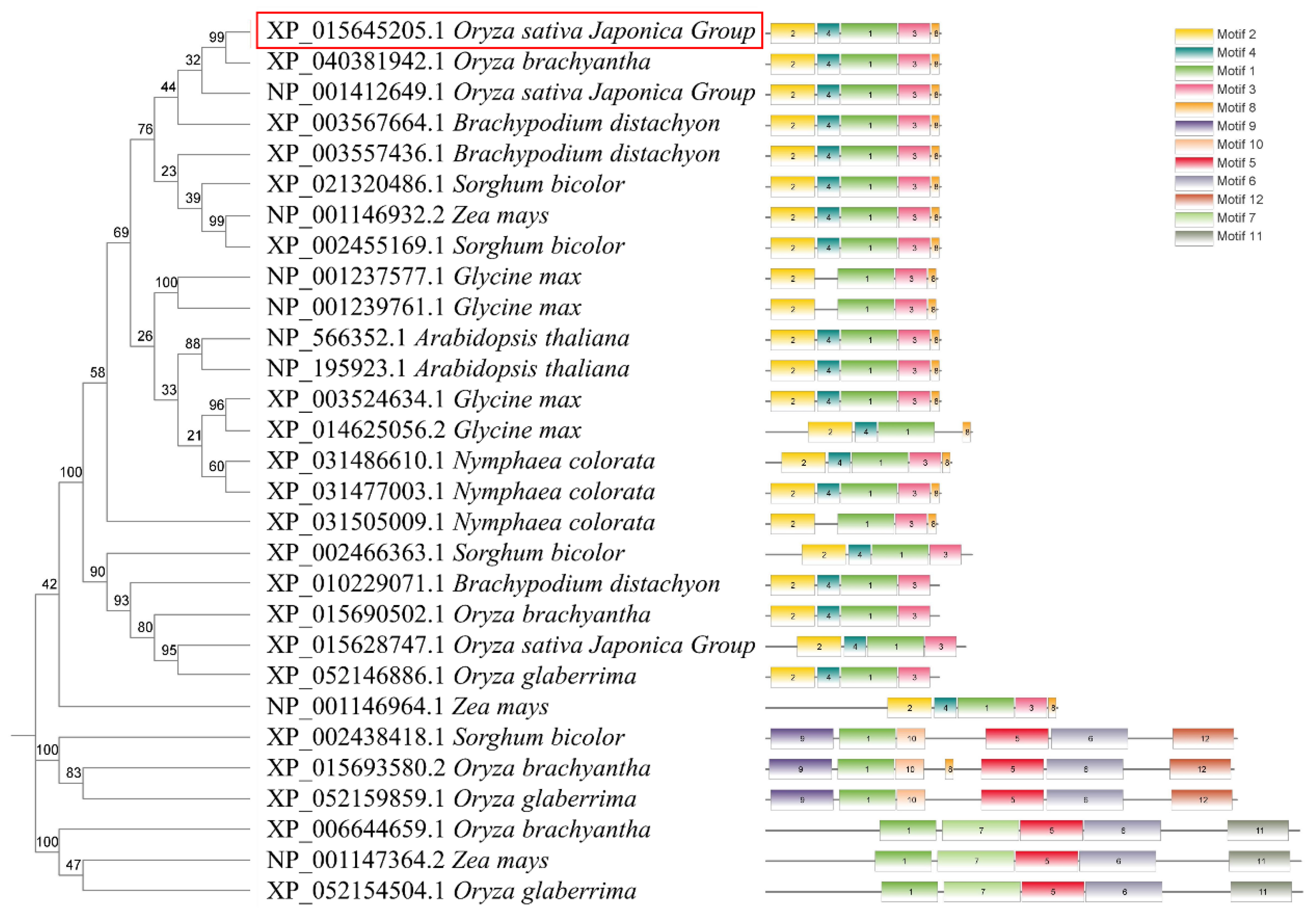 Preprints 113189 g001