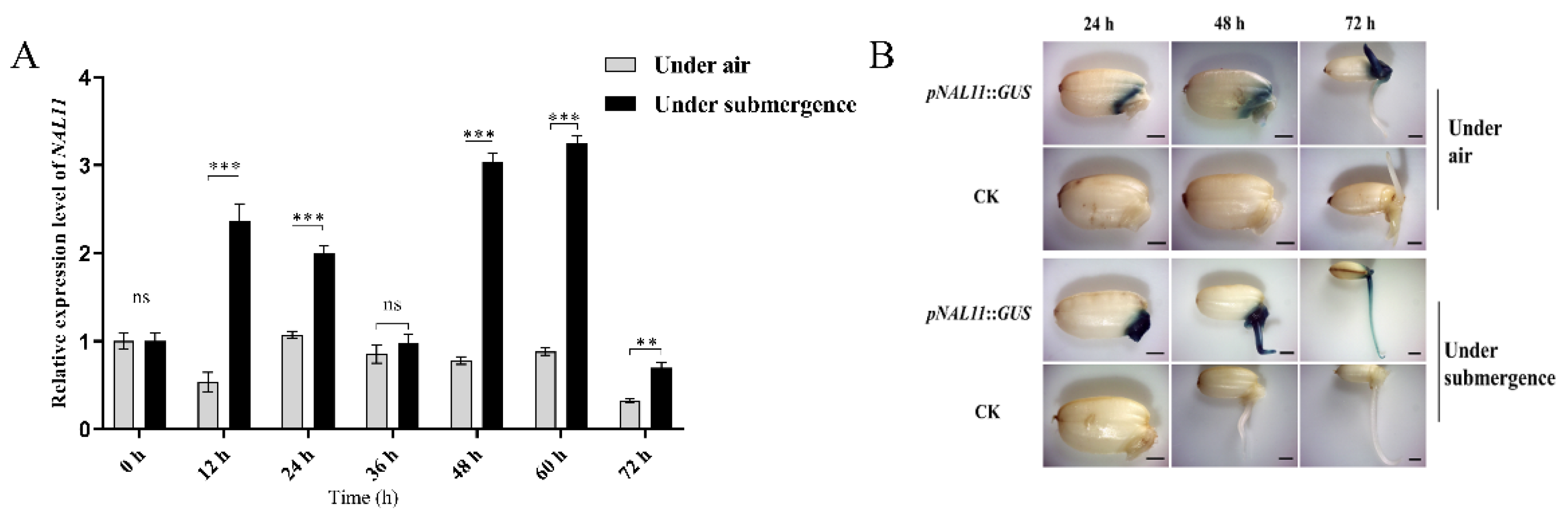 Preprints 113189 g002