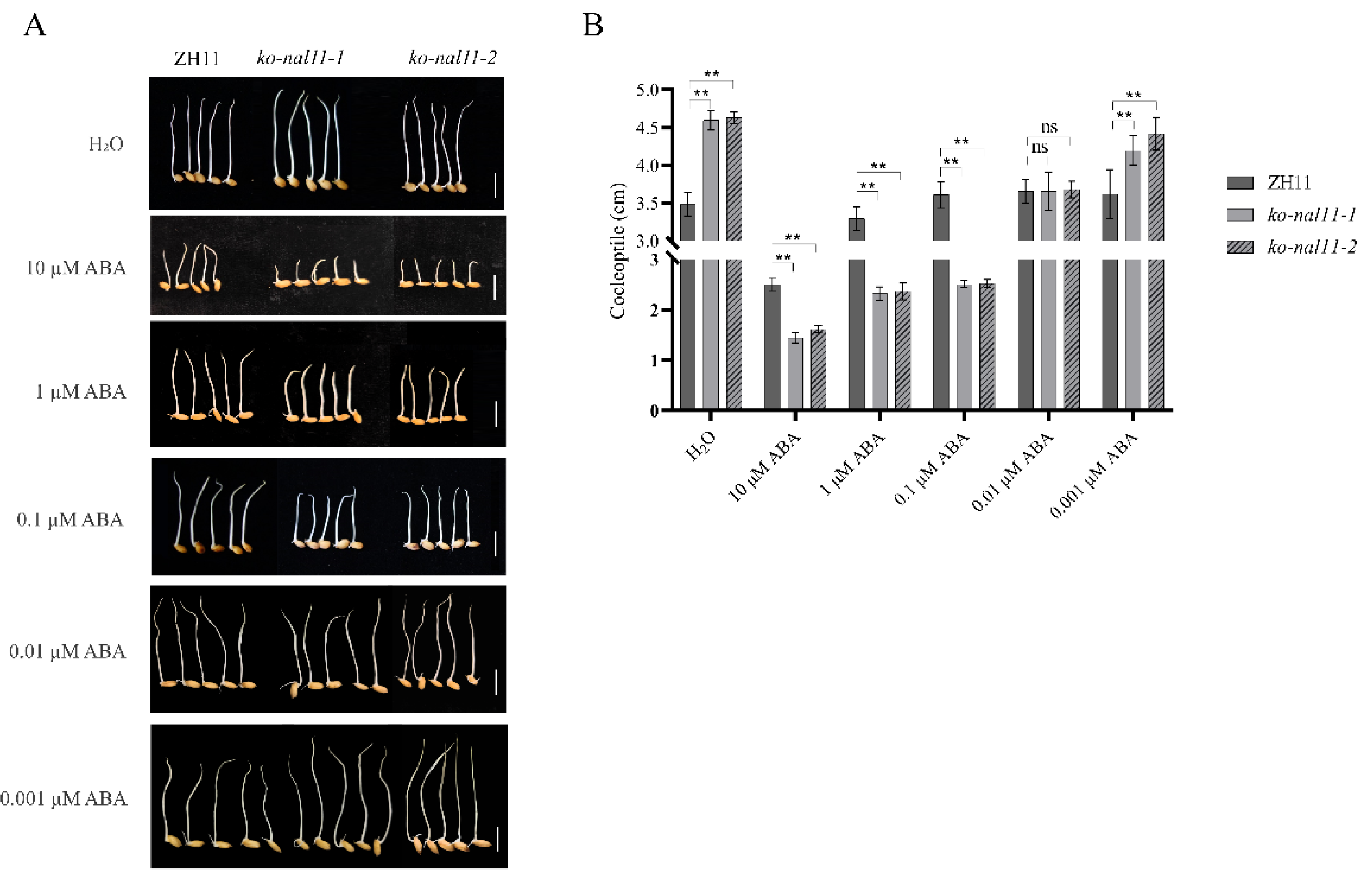 Preprints 113189 g007