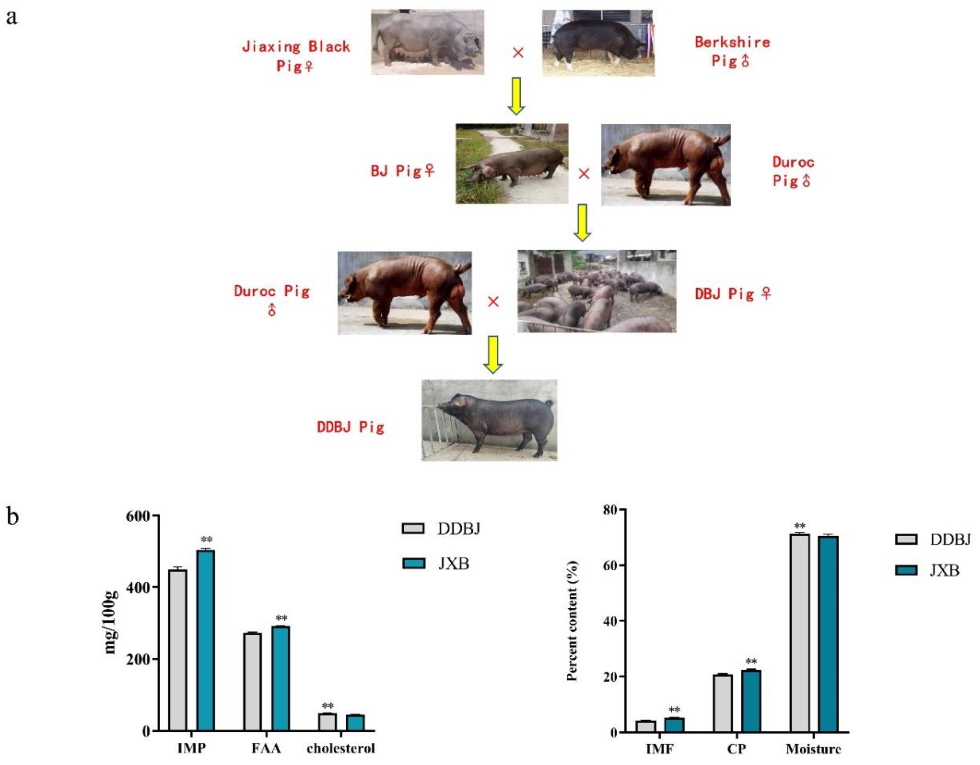 Preprints 81904 g001