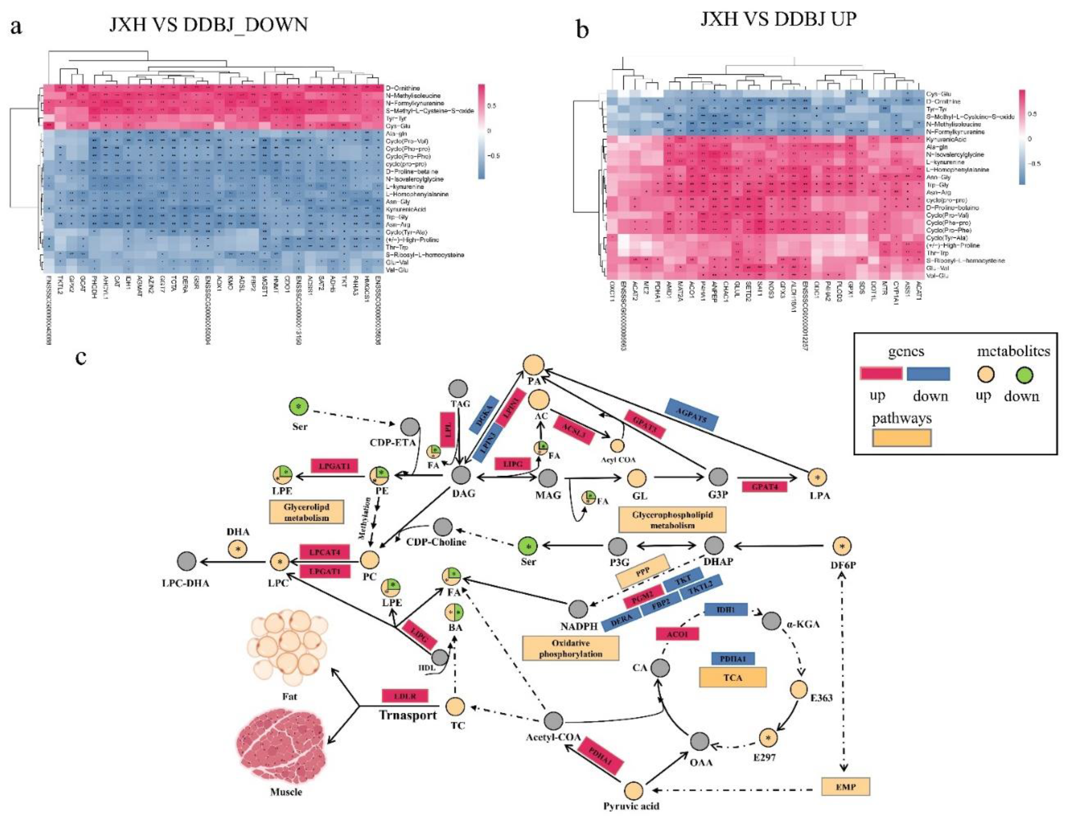 Preprints 81904 g005