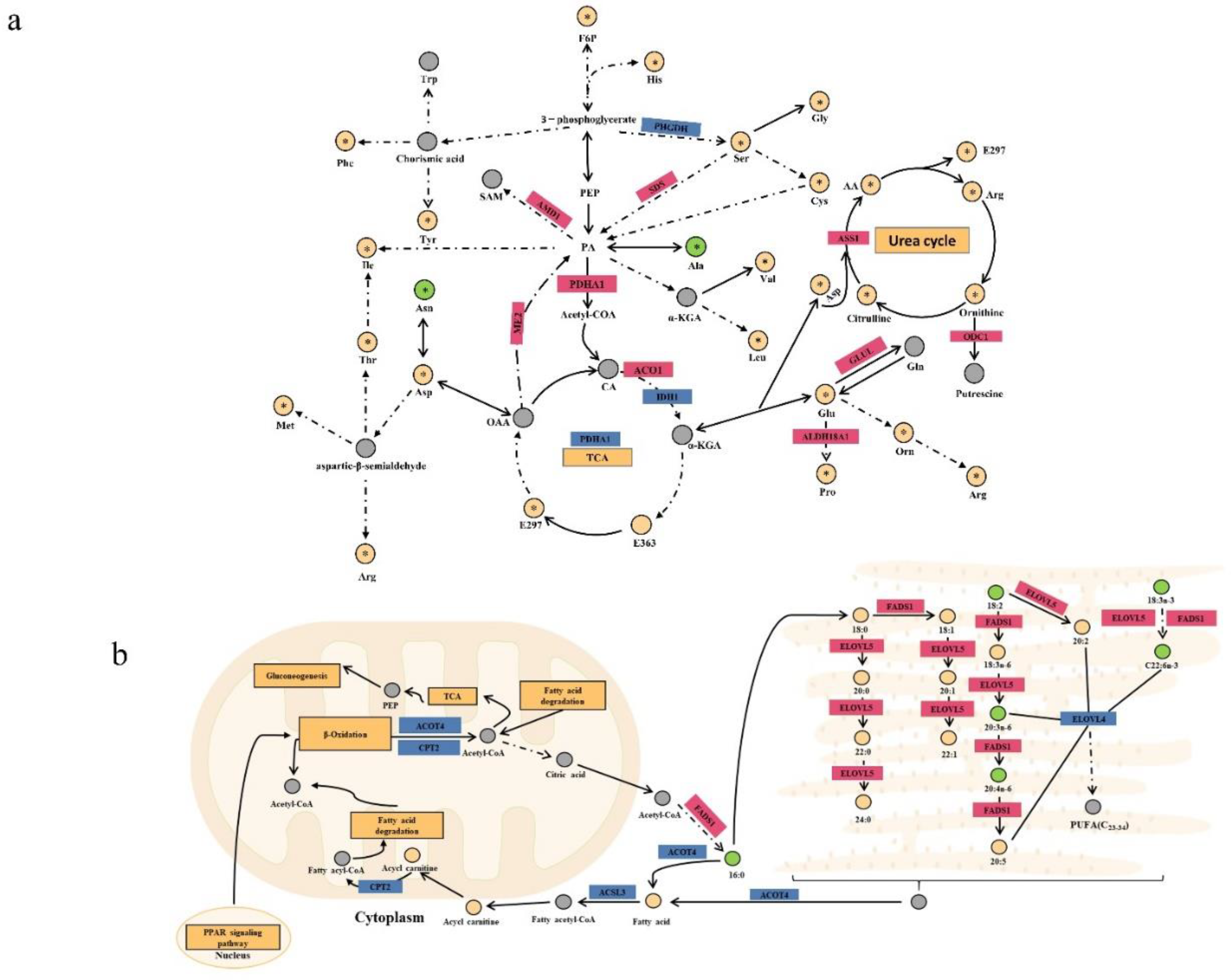 Preprints 81904 g006