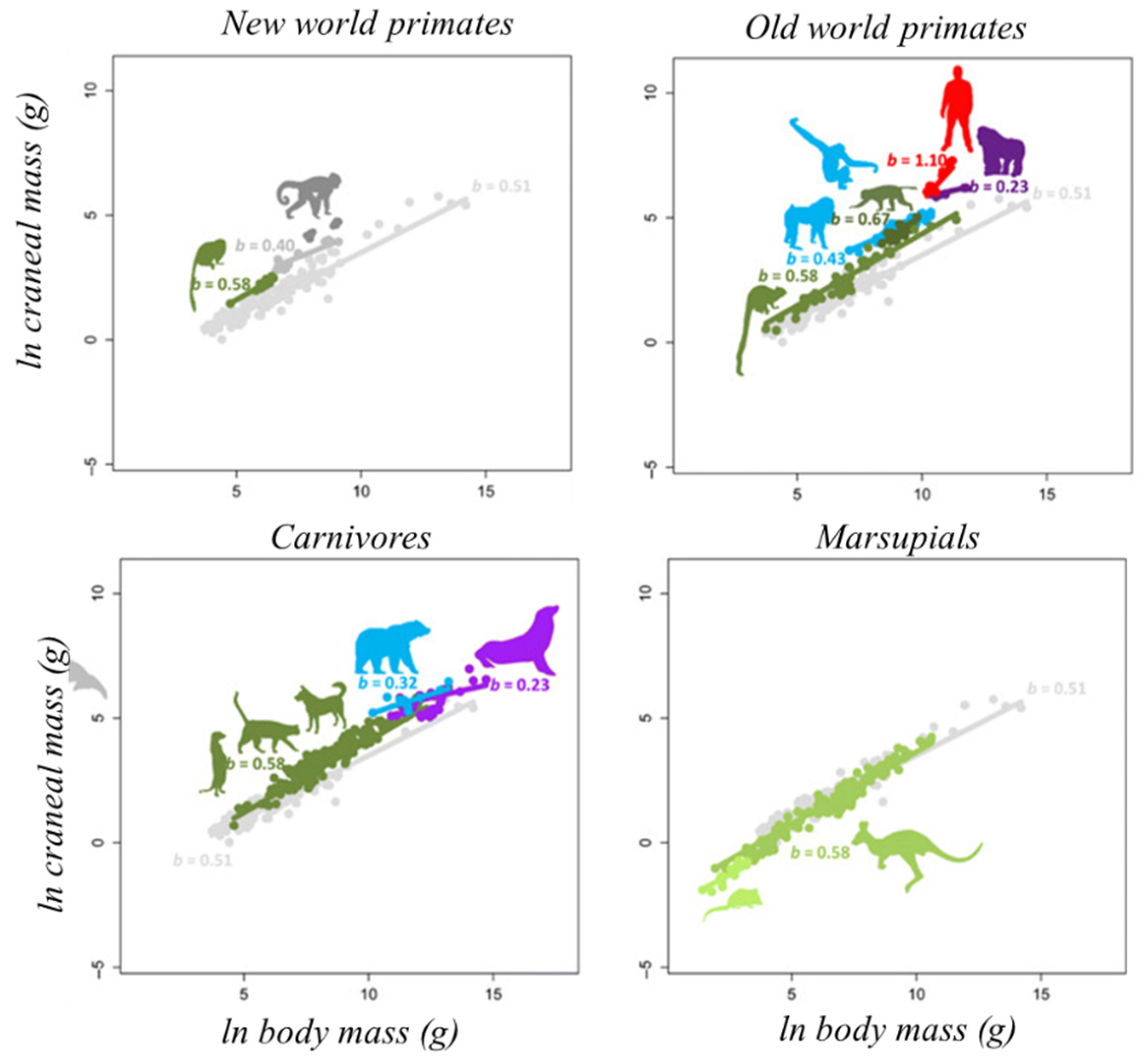 Preprints 87835 g005