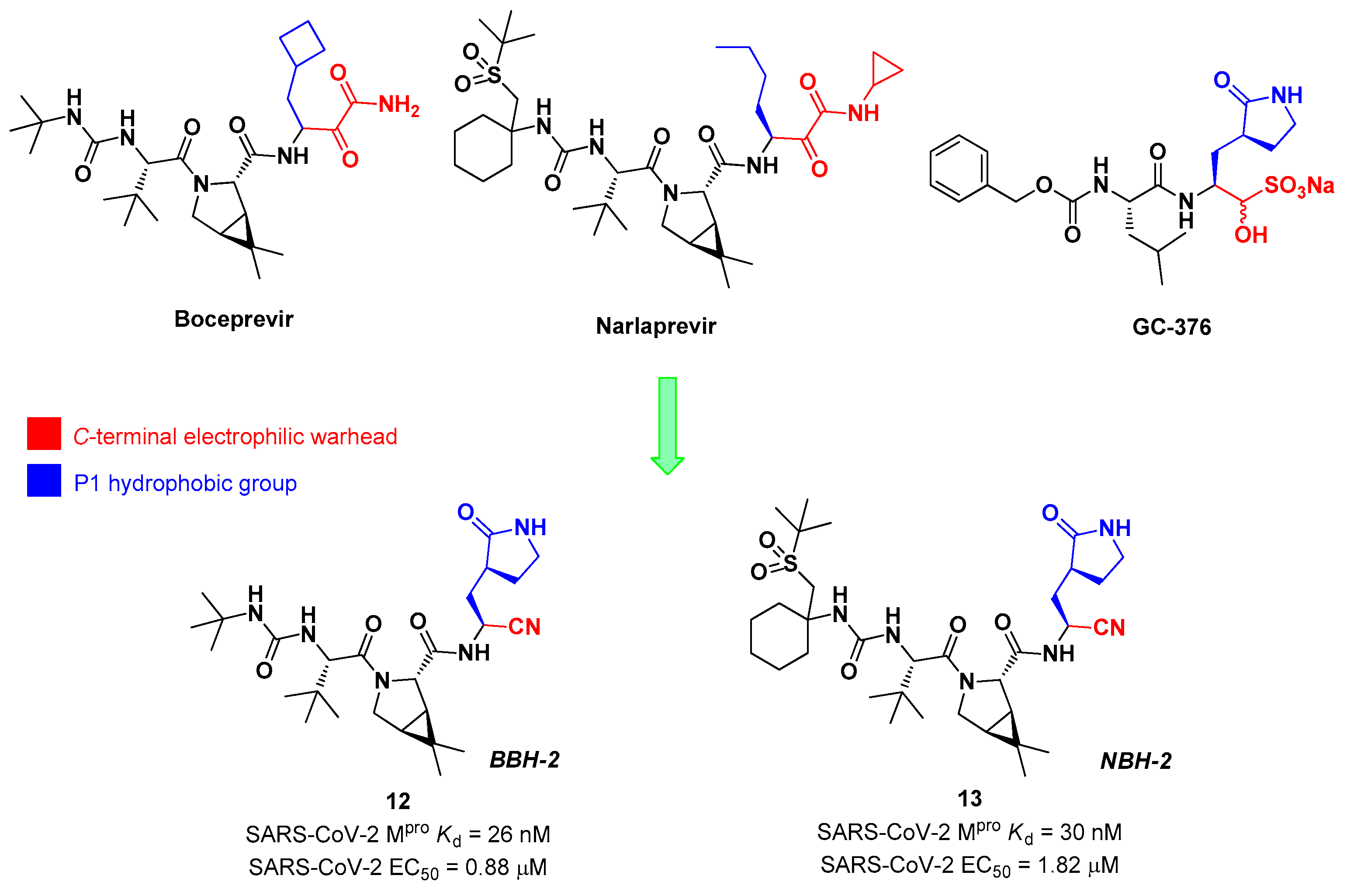 Preprints 81069 g009