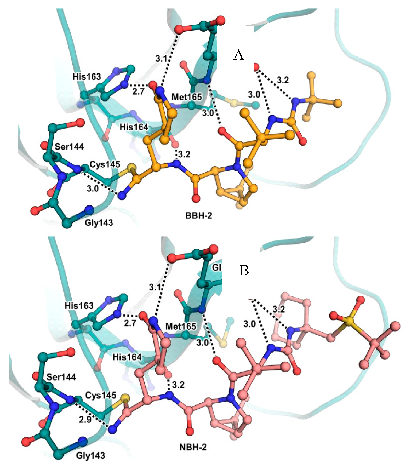 Preprints 81069 g010