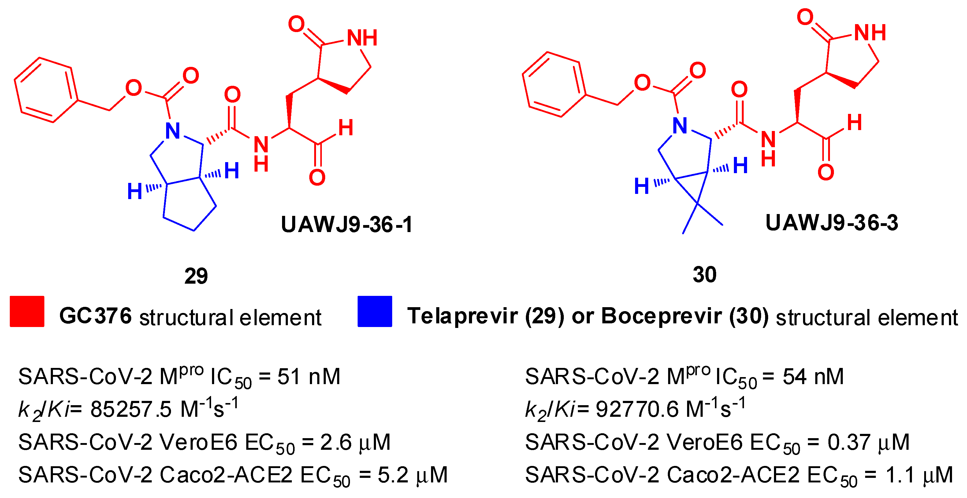 Preprints 81069 g019