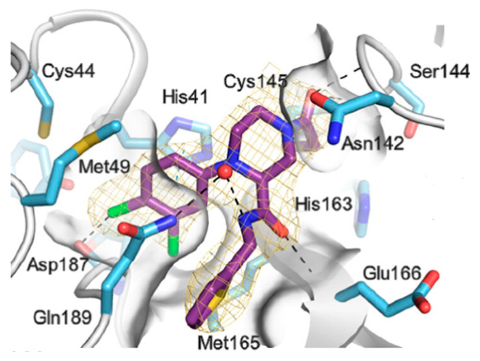 Preprints 81069 g041