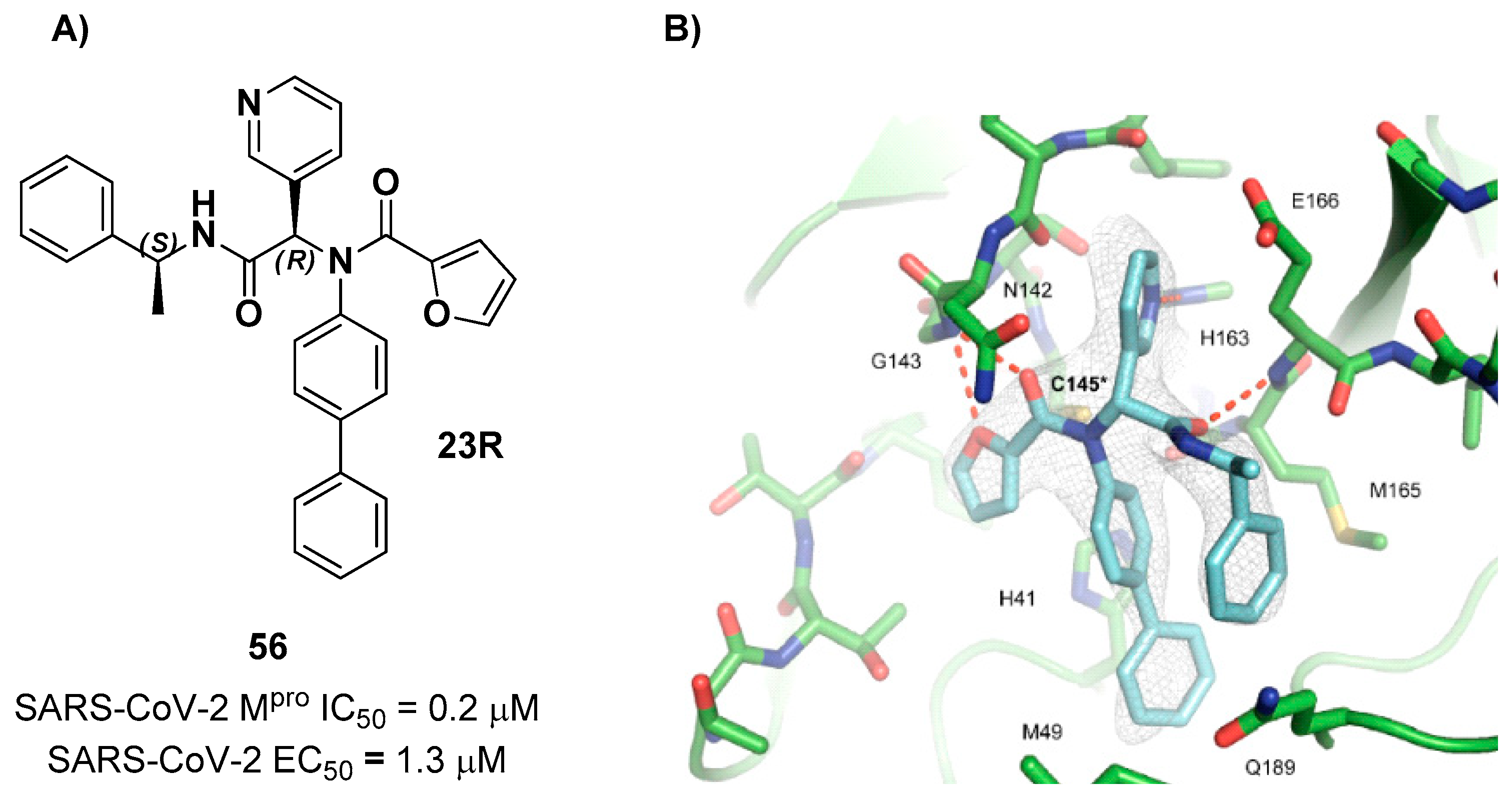 Preprints 81069 g069