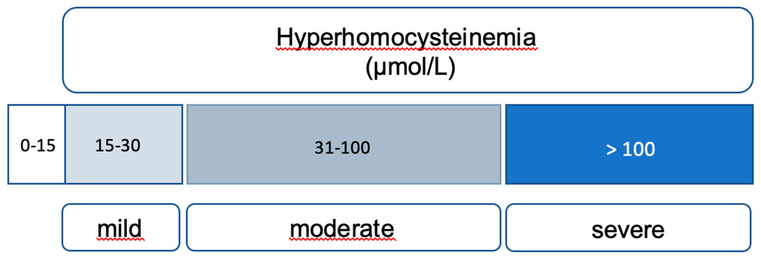 Preprints 91013 g002