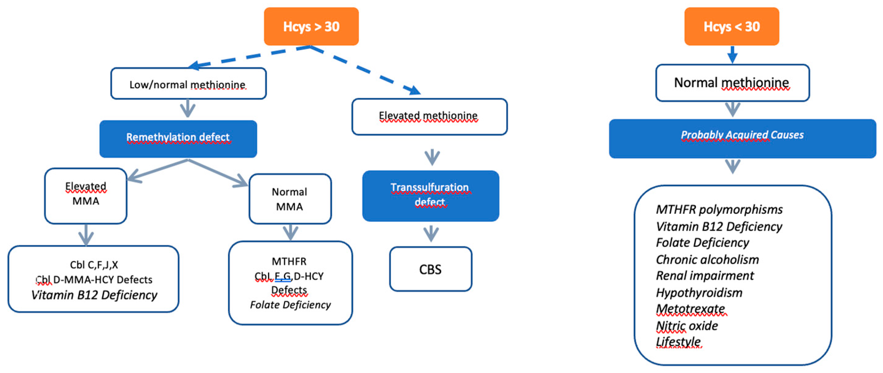 Preprints 91013 g003