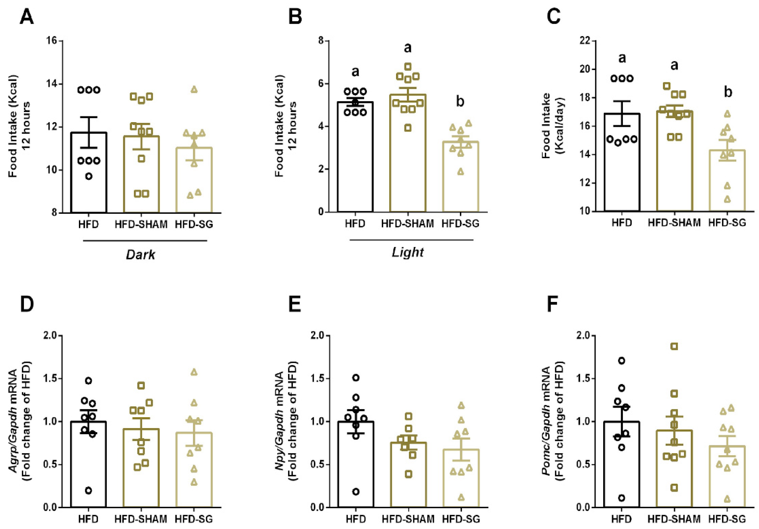 Preprints 116569 g001